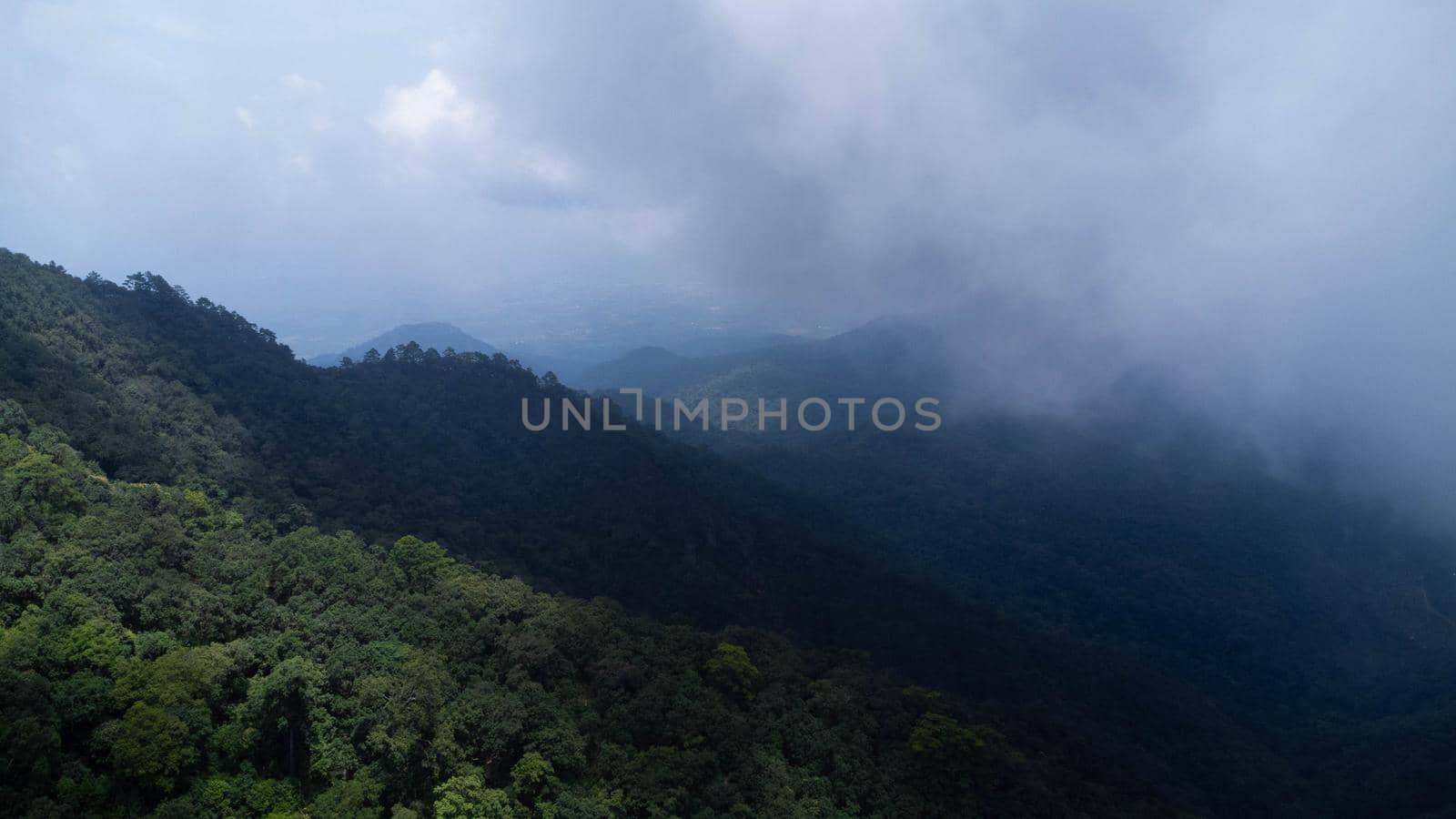 Aerial view of sea of fog on tropical mountains in the early morning. by TEERASAK