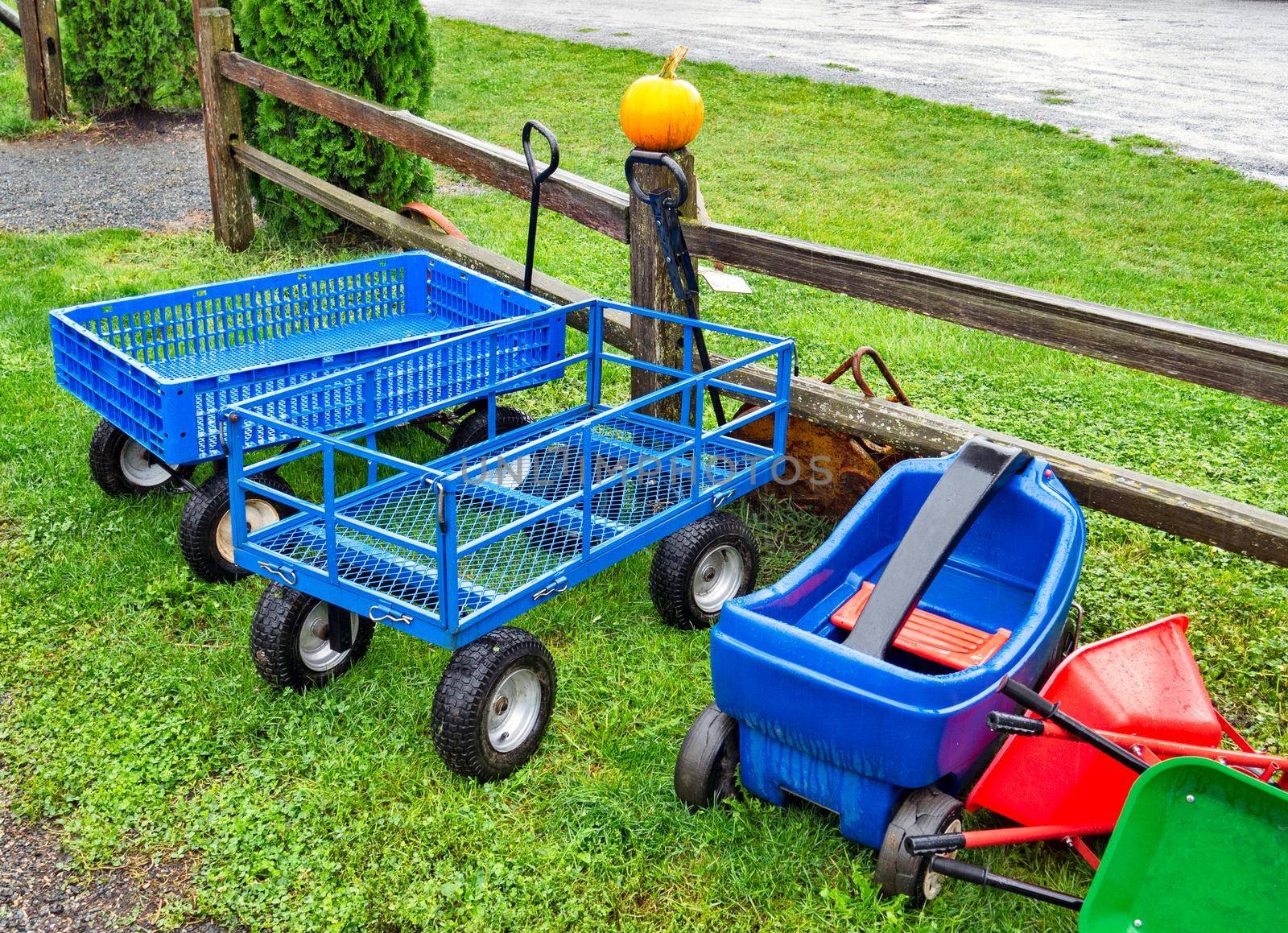 Empty kid's carts on autumn day on the farm.