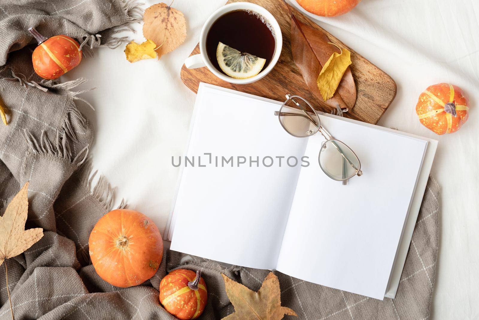Back to school. Cozy autumn. Study and education concept. white blank book with autumn leaves and cup of hot tea on table ,book mockup design
