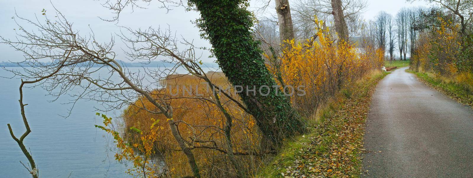 Autumn in the colors of autumn. A photo of sea, road and landscape in autumn