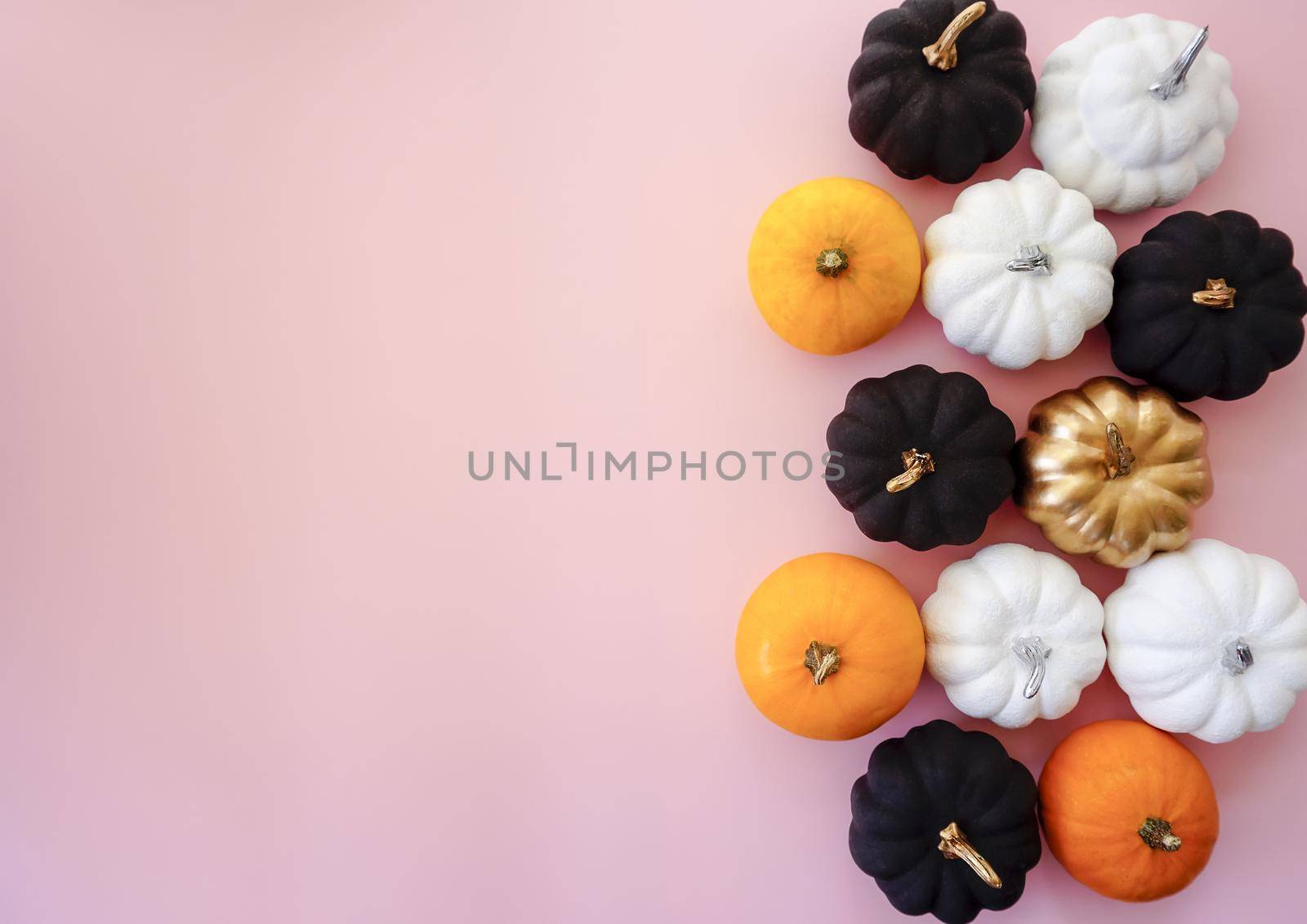 Decorative black and white pumpkins are laid out along the edge by Spirina
