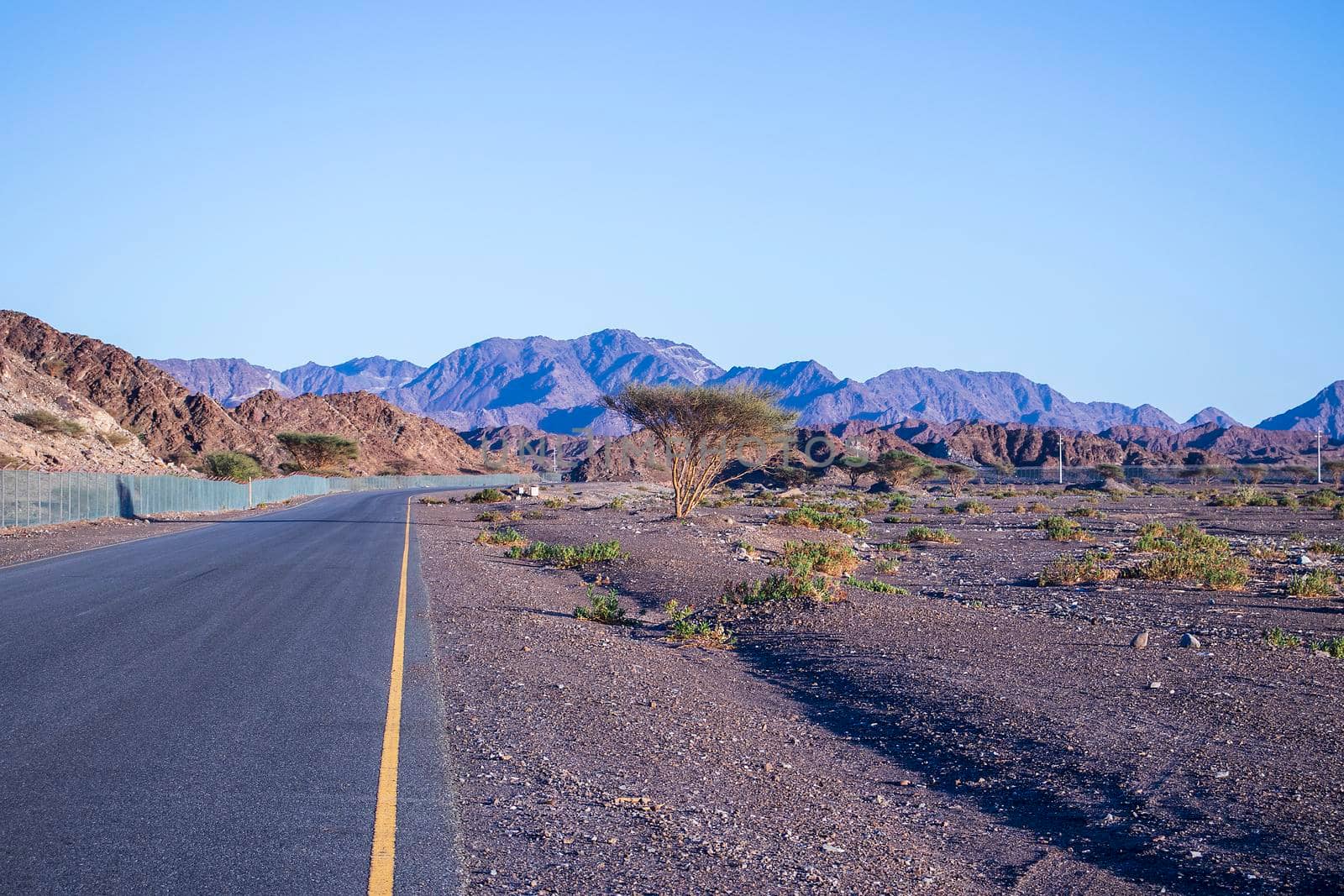 Mountainous road in emirate of Sharjah, UAE. Outdoor