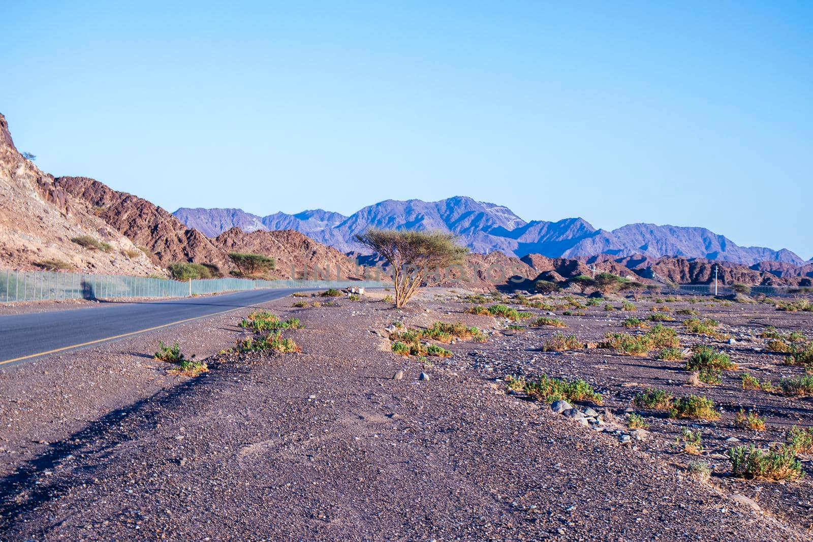Mountainous road in emirate of Sharjah, UAE. Outdoor