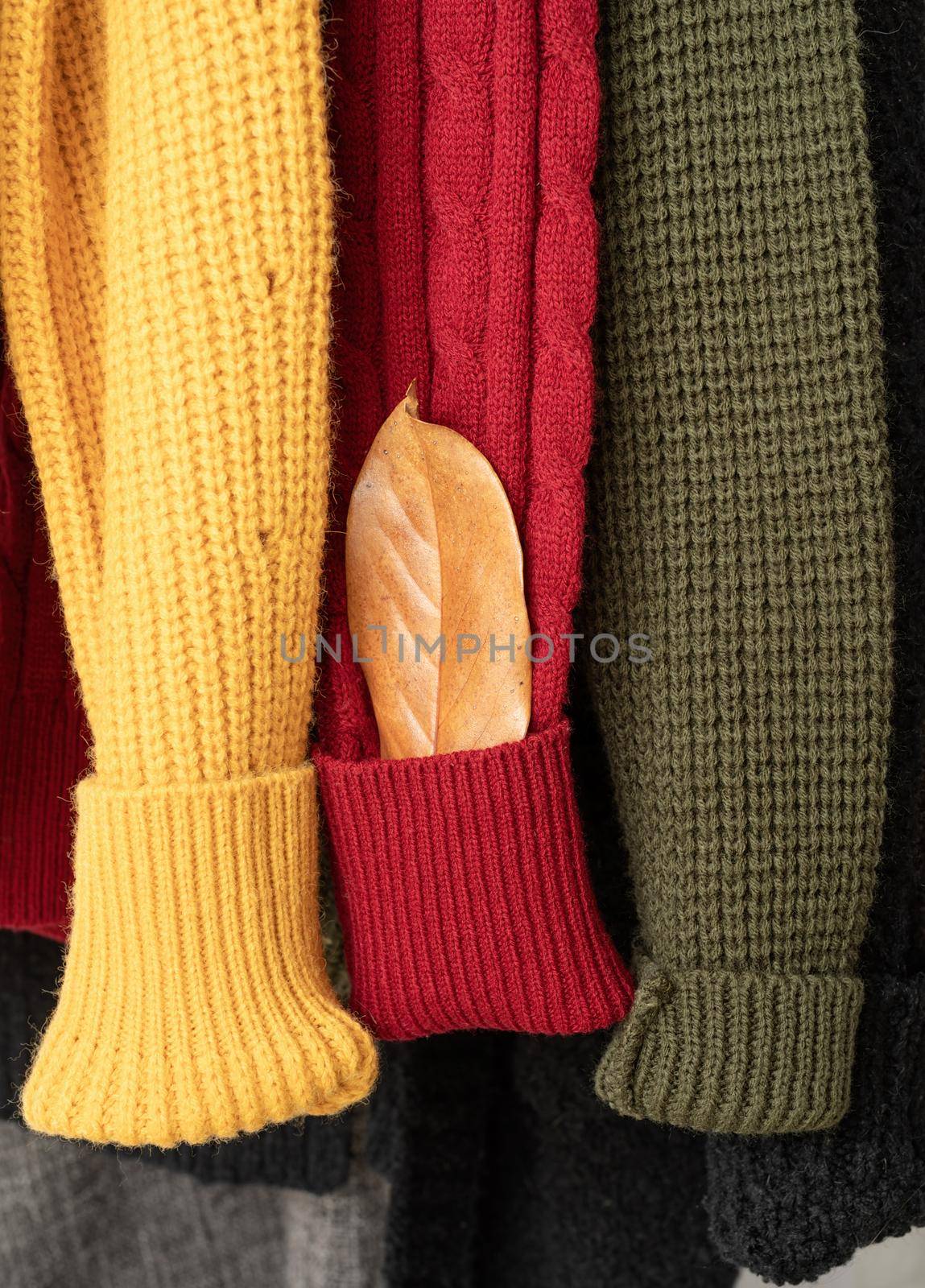 Row of different colorful Knitted sweaters hang on hangers, white background, autumn and winter season