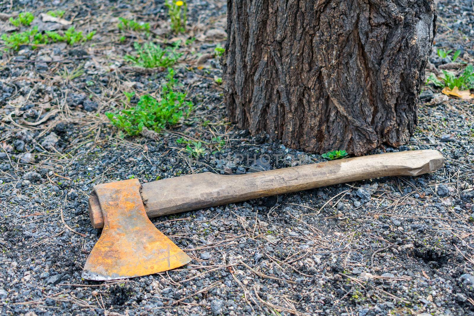 An old and rusty thrown ax is lying on the ground next to a tree