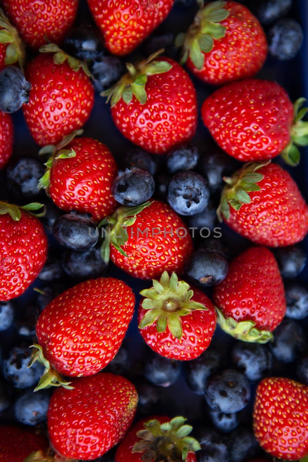 Background of assorted fresh berries of red juicy strawberries and blue blueberries close-up. View from above