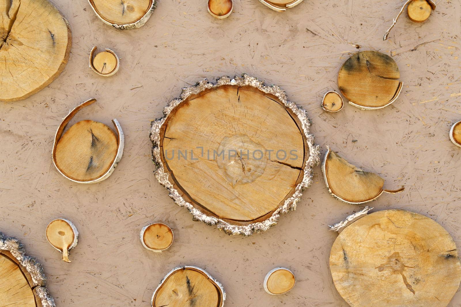 Natural cut of a wooden log background. Texture of wind cut wood, rings of cut tree