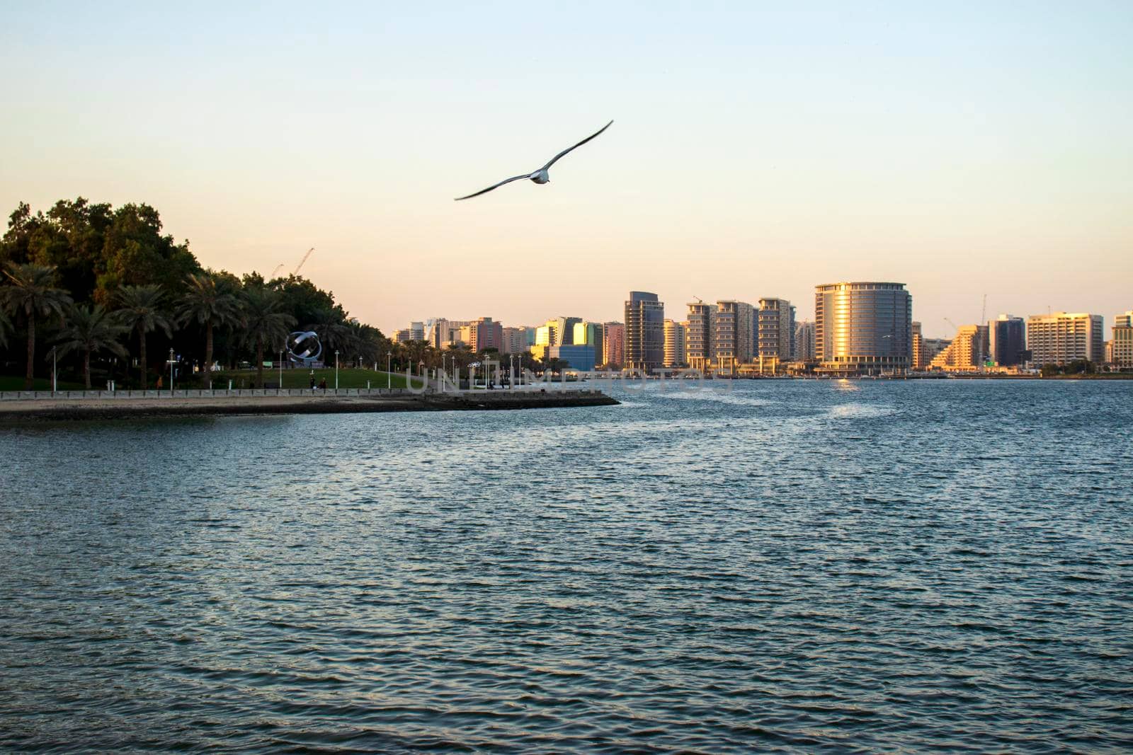 One of the public parks of Dubai.