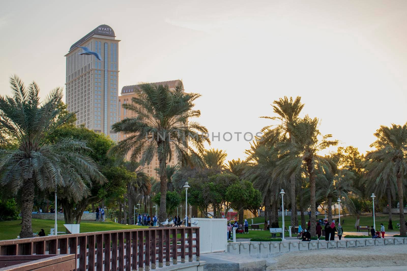 One of the public parks of Dubai.