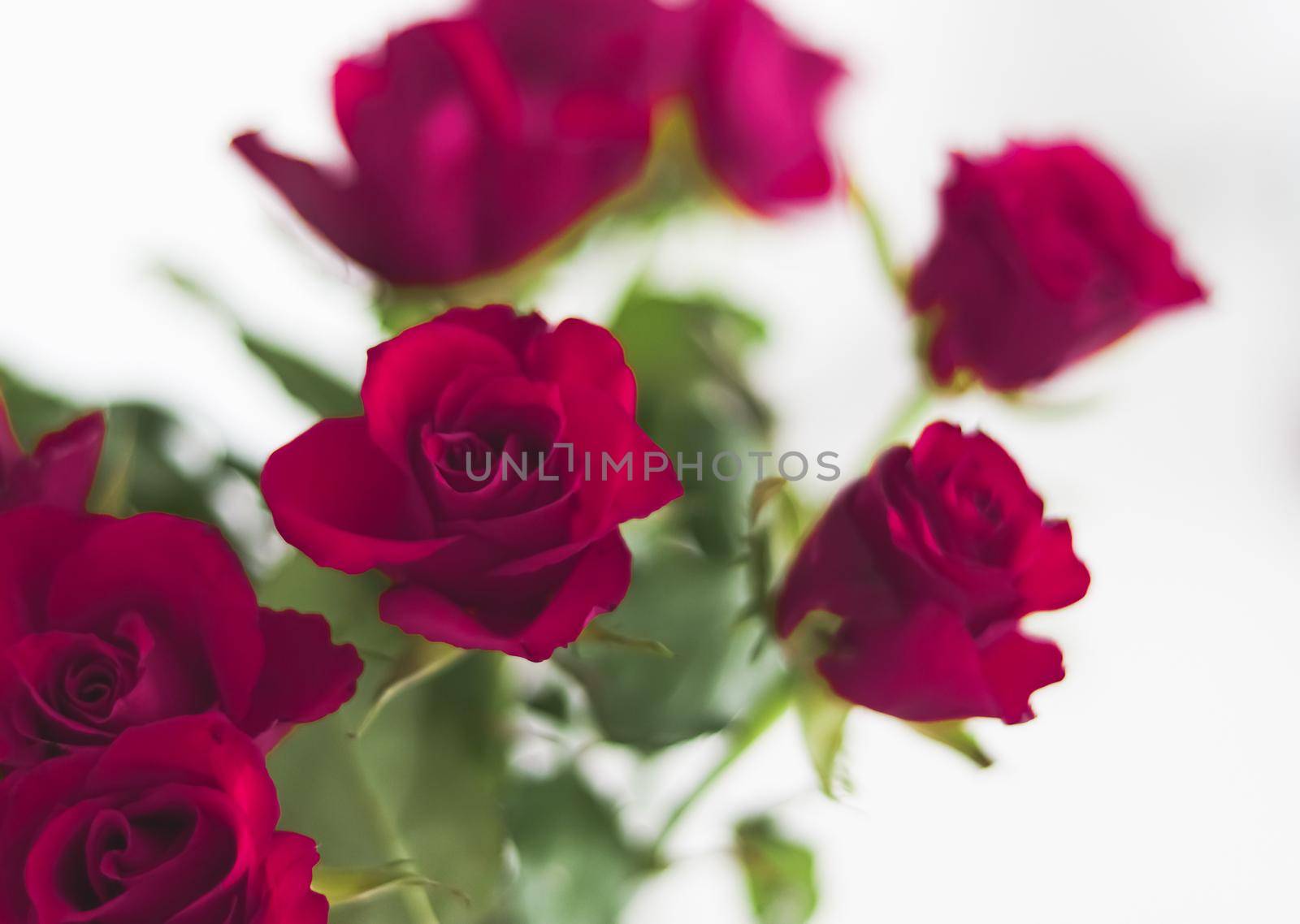 Tender bouquet of roses, floral gift and beautiful flowers closeup