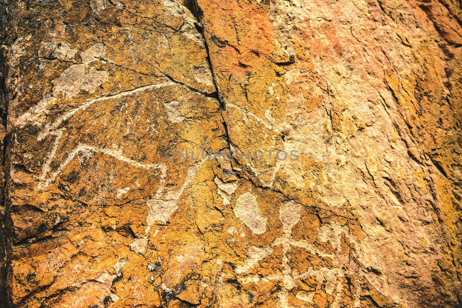 Archaeological rock petroglyphs of animals and people in the tract Tamgaly tas or Tanbaly tas in the Almaty region of Kazakhstan. UNESCO World Heritage.