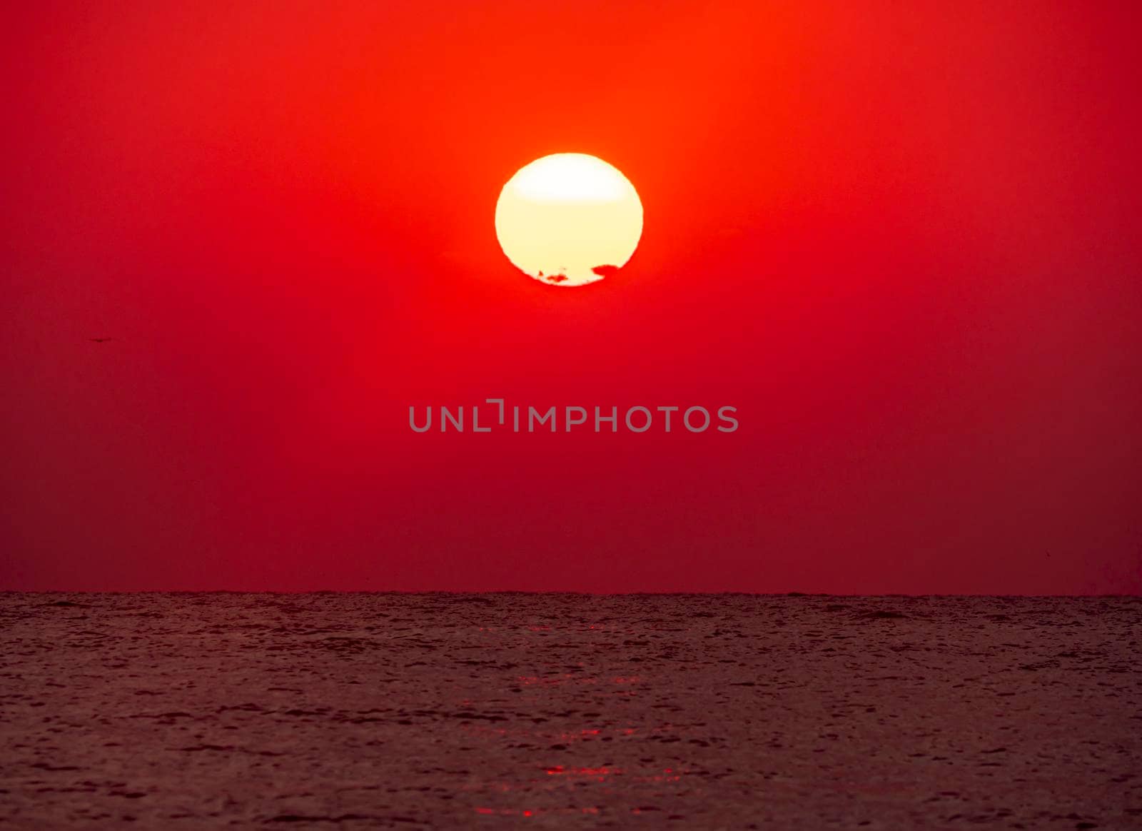 big sun down over sea sunrise, red sky