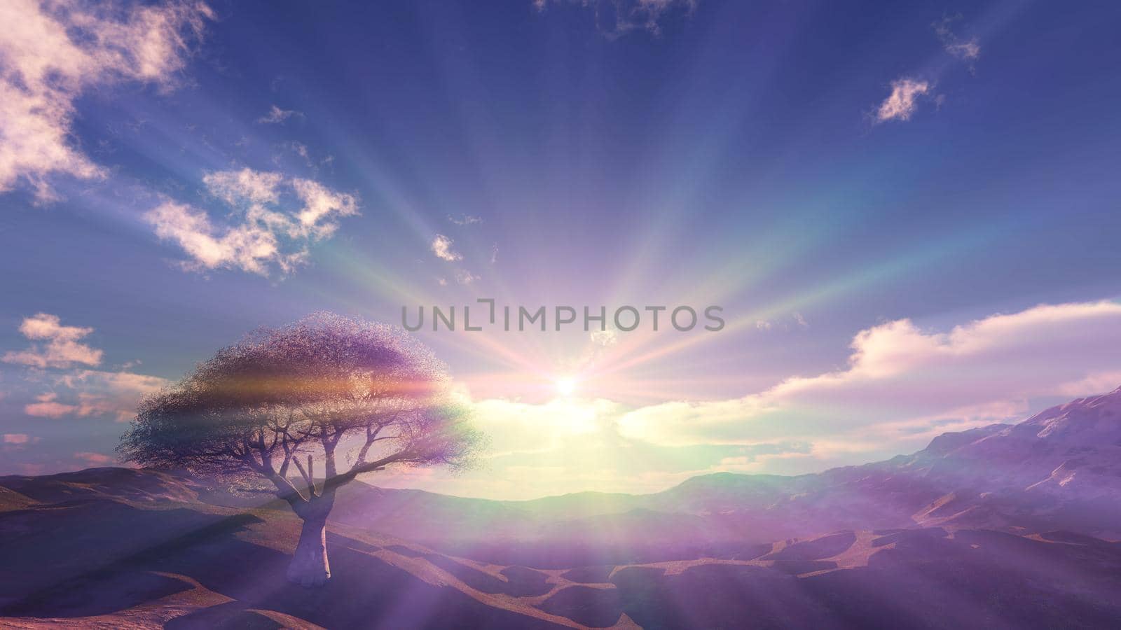 sunset at meadow and lonely tree, 3d render illustration