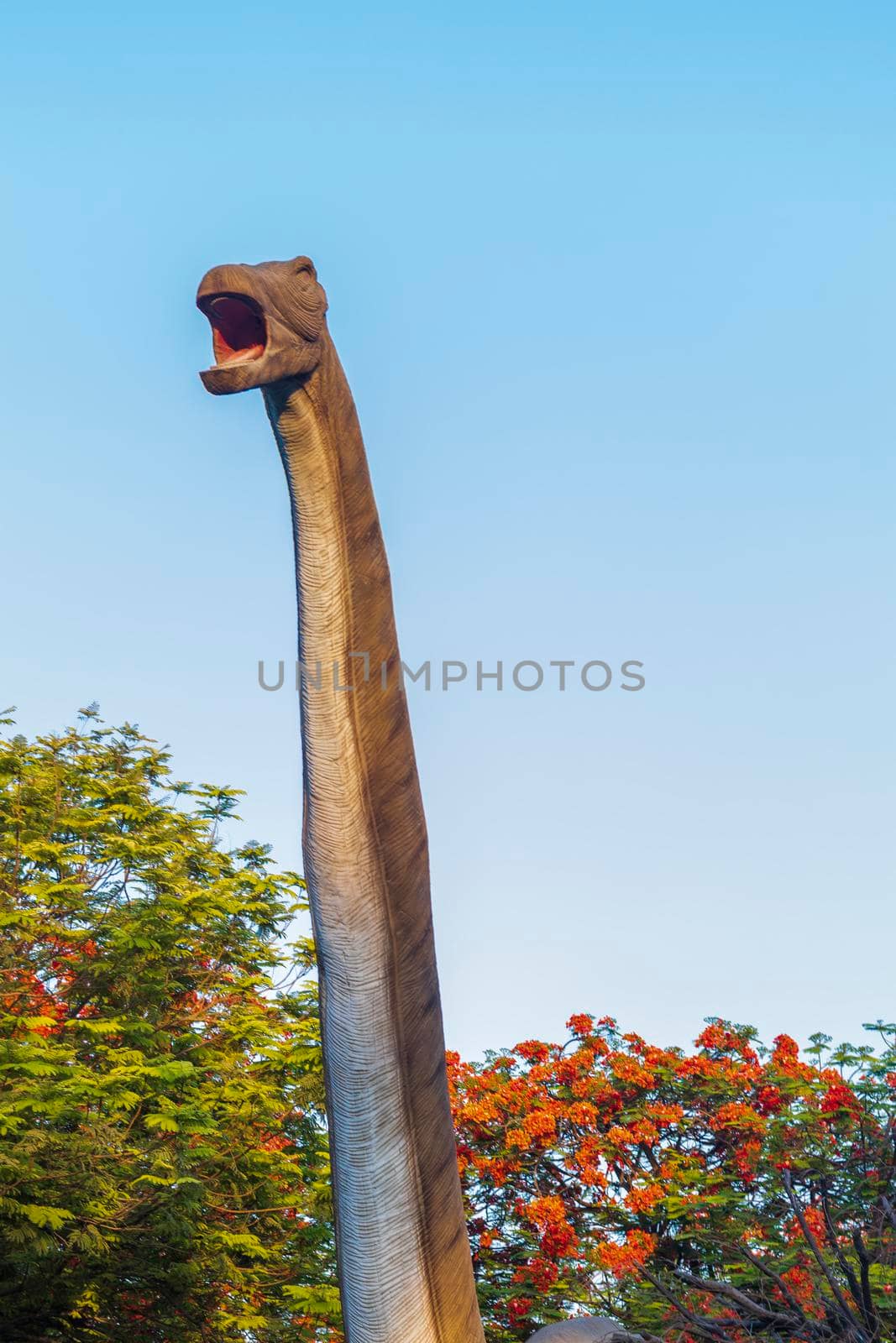 Dubai,UAE - 05.11.2021 - Austrosaurus replica exhibit at dinosaur park.