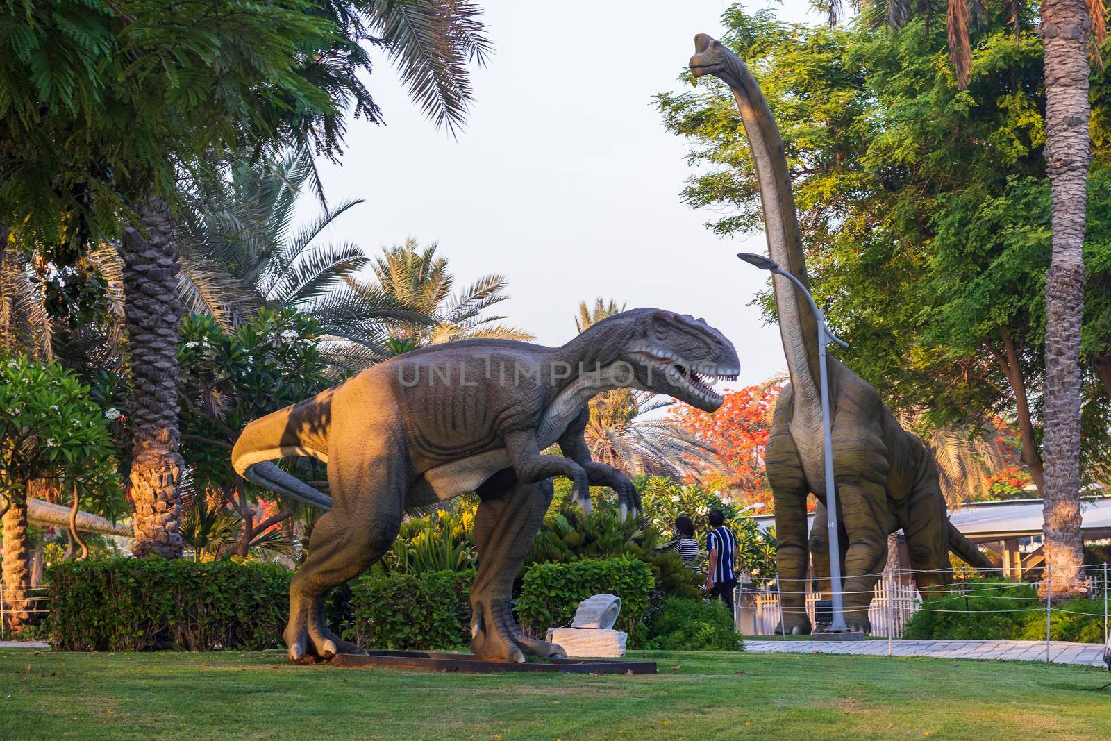 Dubai,UAE - 05.11.2021 - Austrosaurus and T rex replicas exhibits at dinosaur park.