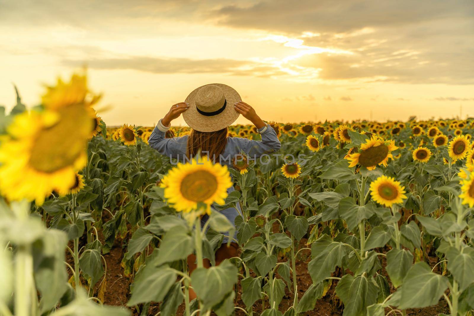 Beautiful middle aged woman looks good in a hat enjoying nature in a field of sunflowers at sunset. Summer. Attractive brunette with long healthy hair. by Matiunina