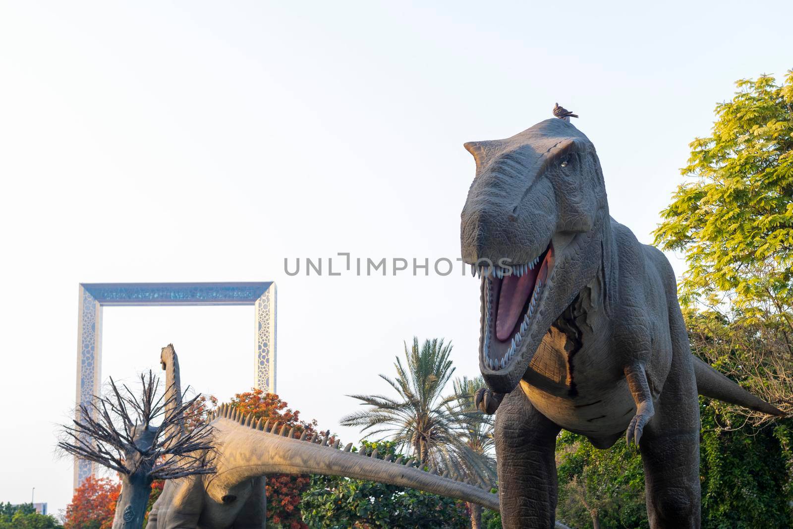 Dubai,UAE - 05.11.2021 - T rex replica exhibit at dinosaur park.