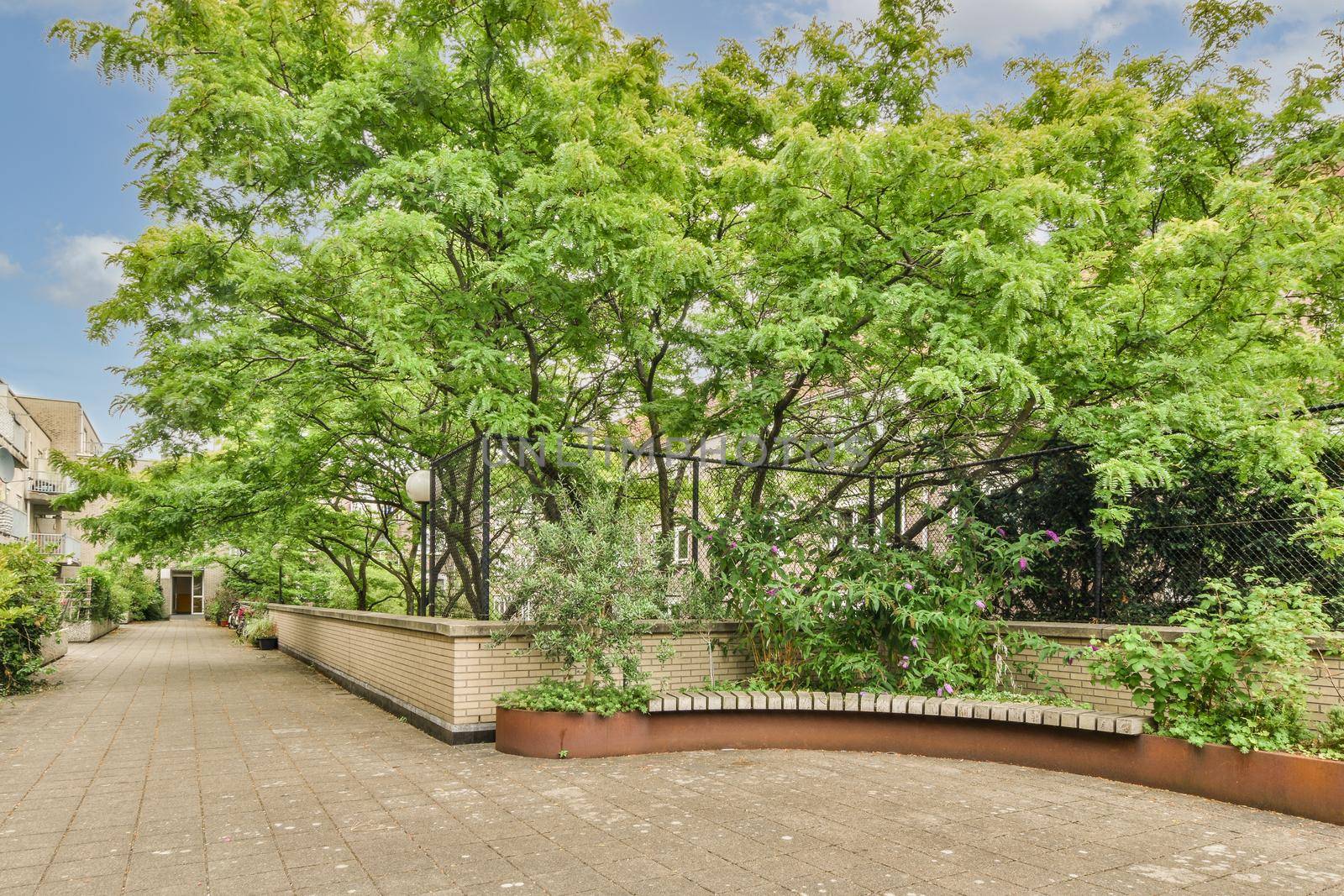 View of street near building with beauty of vegetation outside