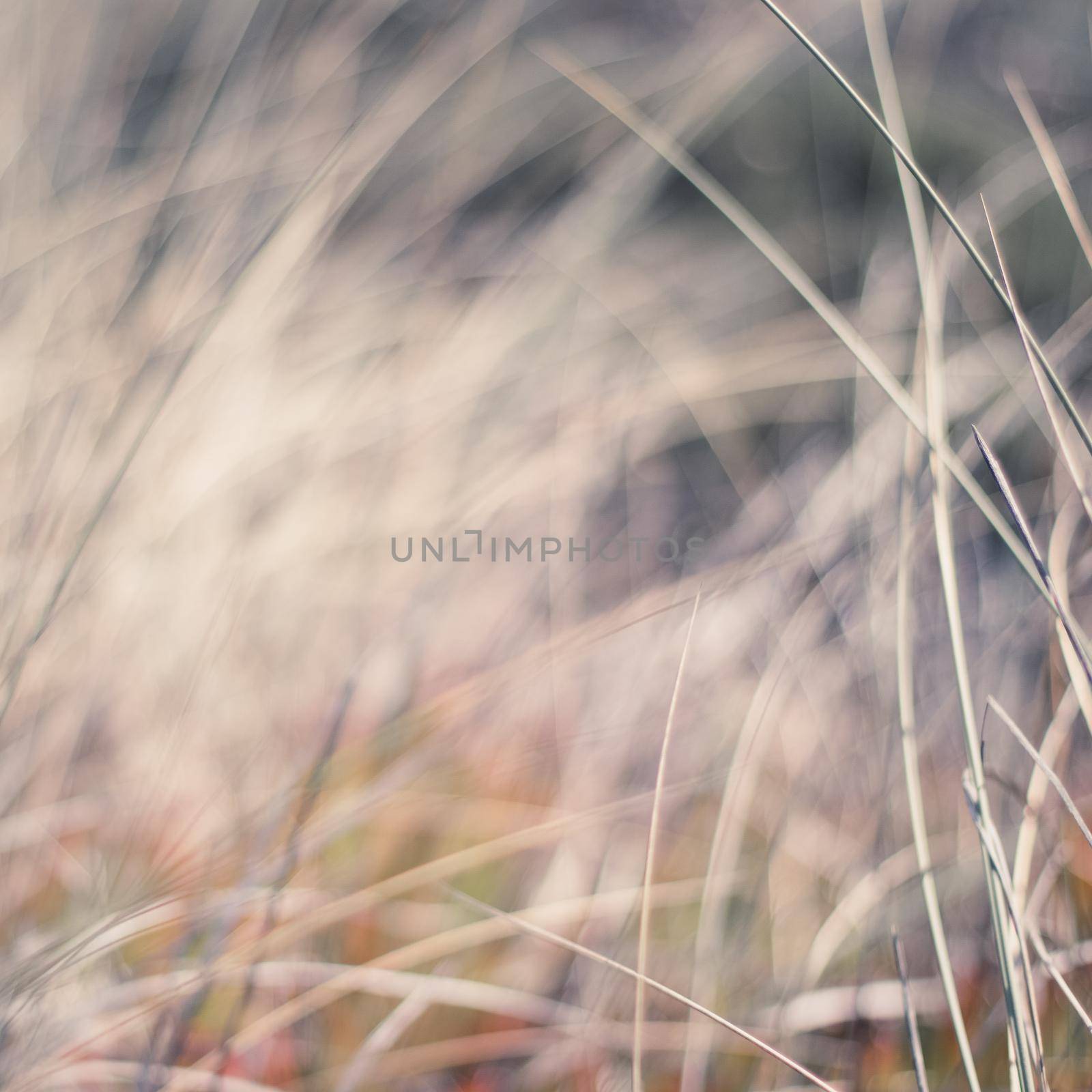 Rural field, a day in countryside by Anneleven