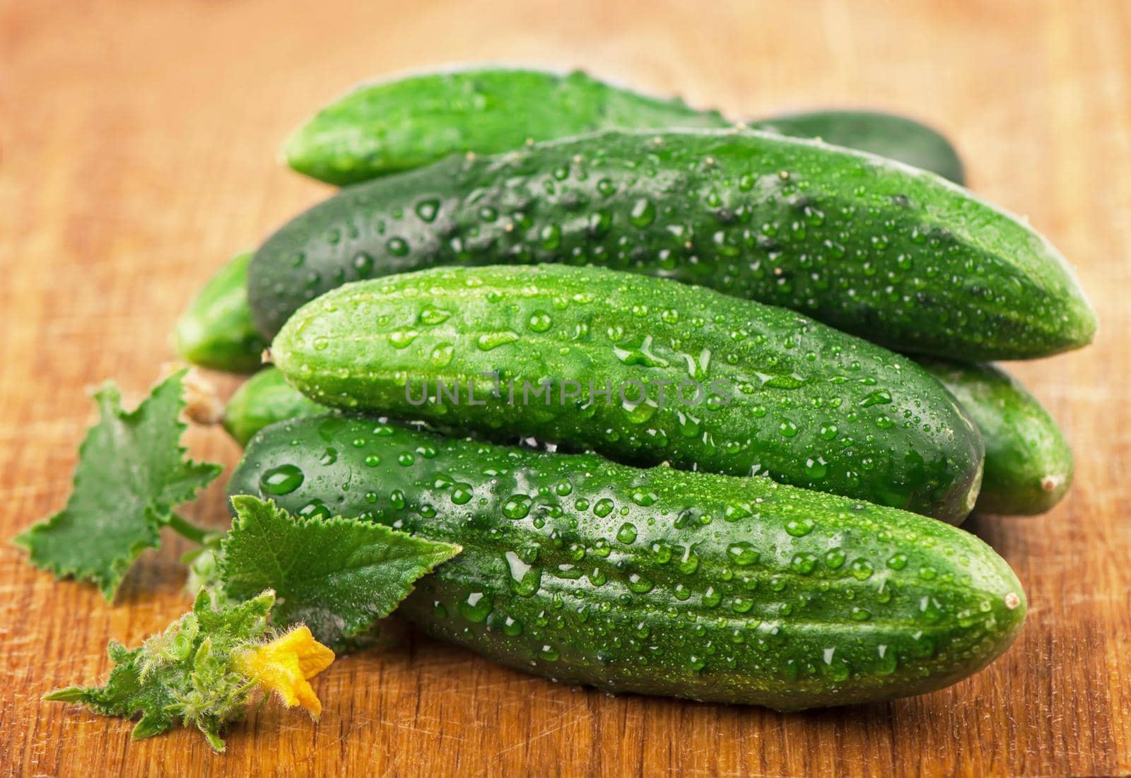 fresh cucumbers with green leaves on wooden