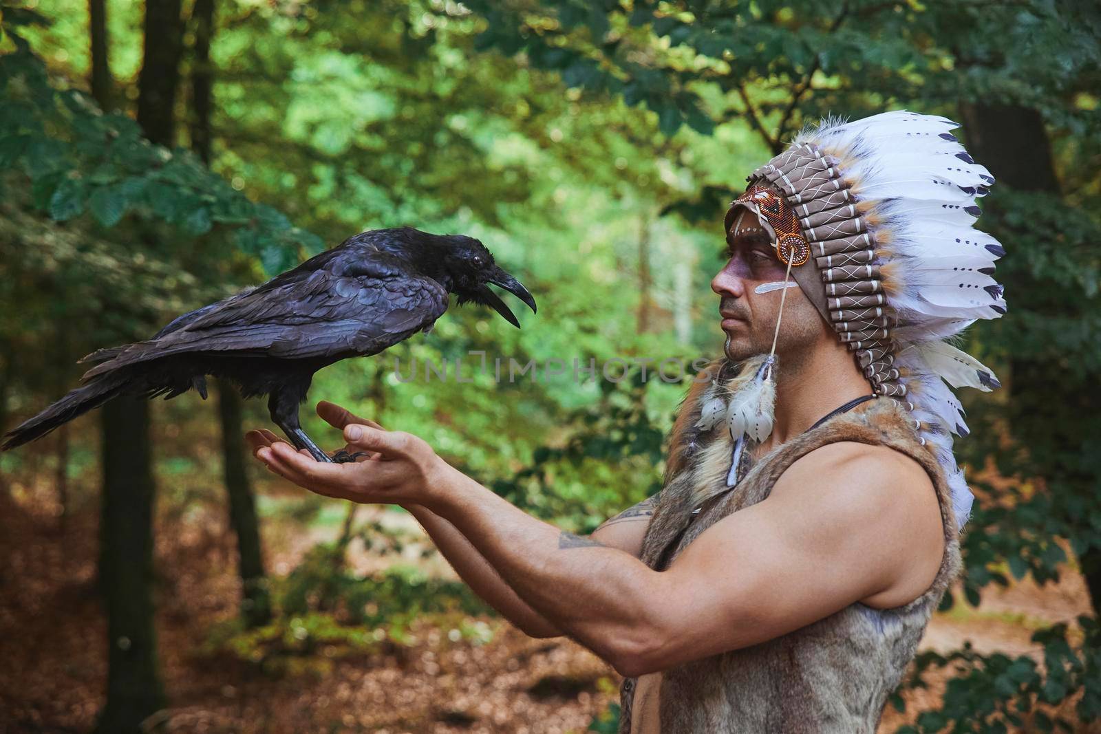 A man in traditional Native American clothing holding a crow in the evening forest