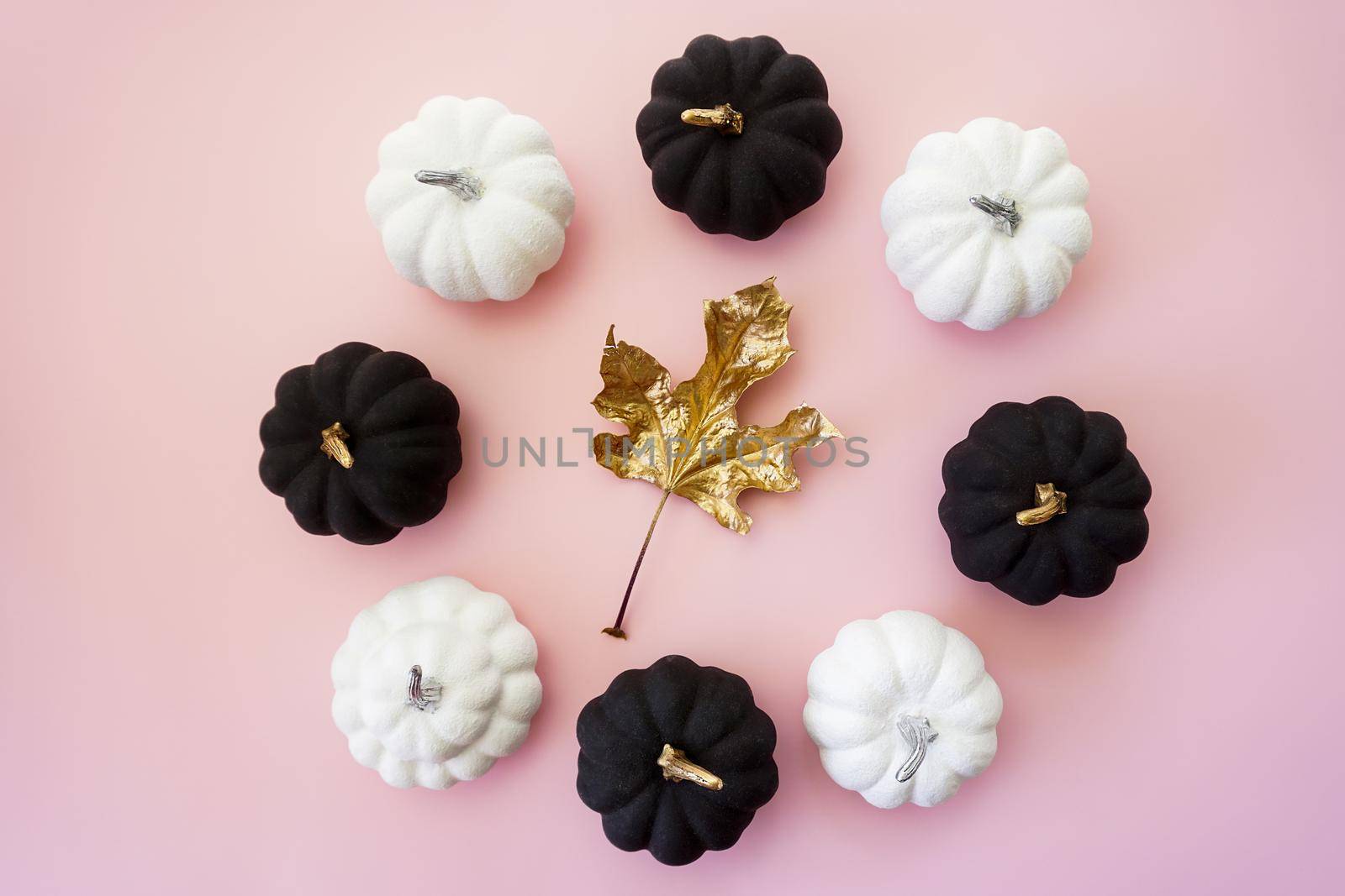 Decorative pumpkins and a golden maple leaf are laid out in a circle by Spirina
