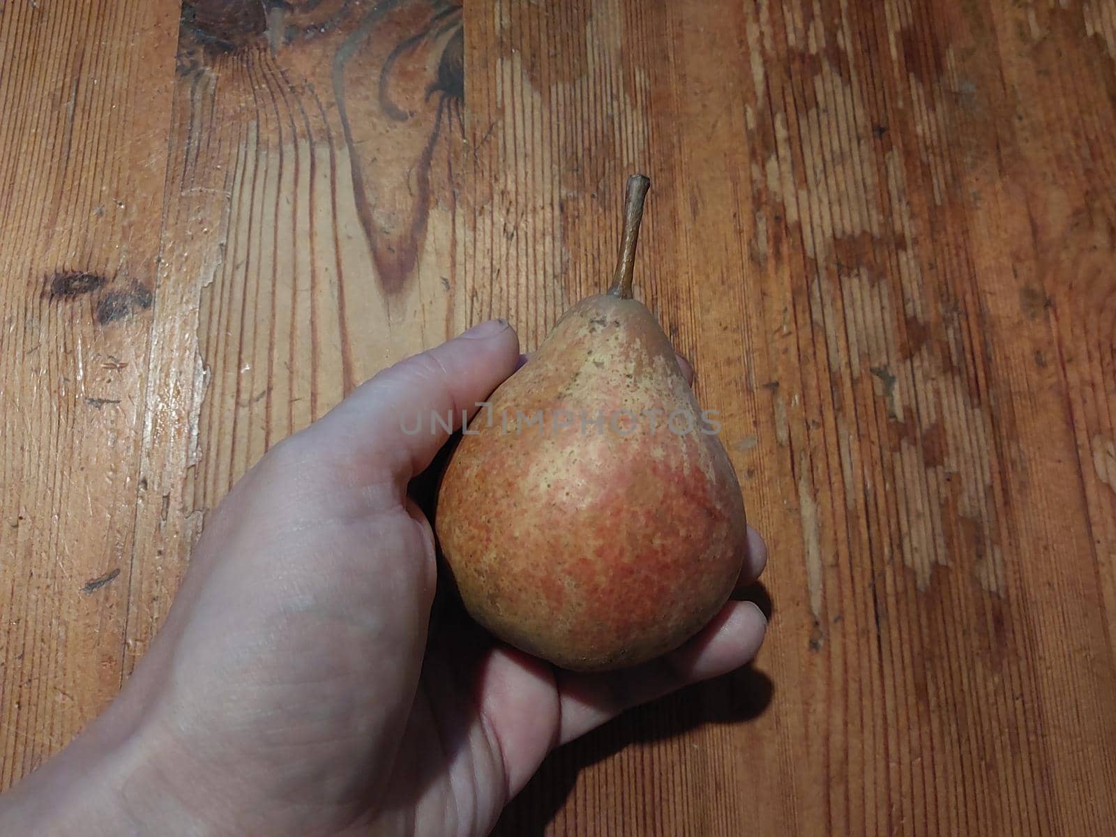 Fruits picked at the dacha in the  autumn