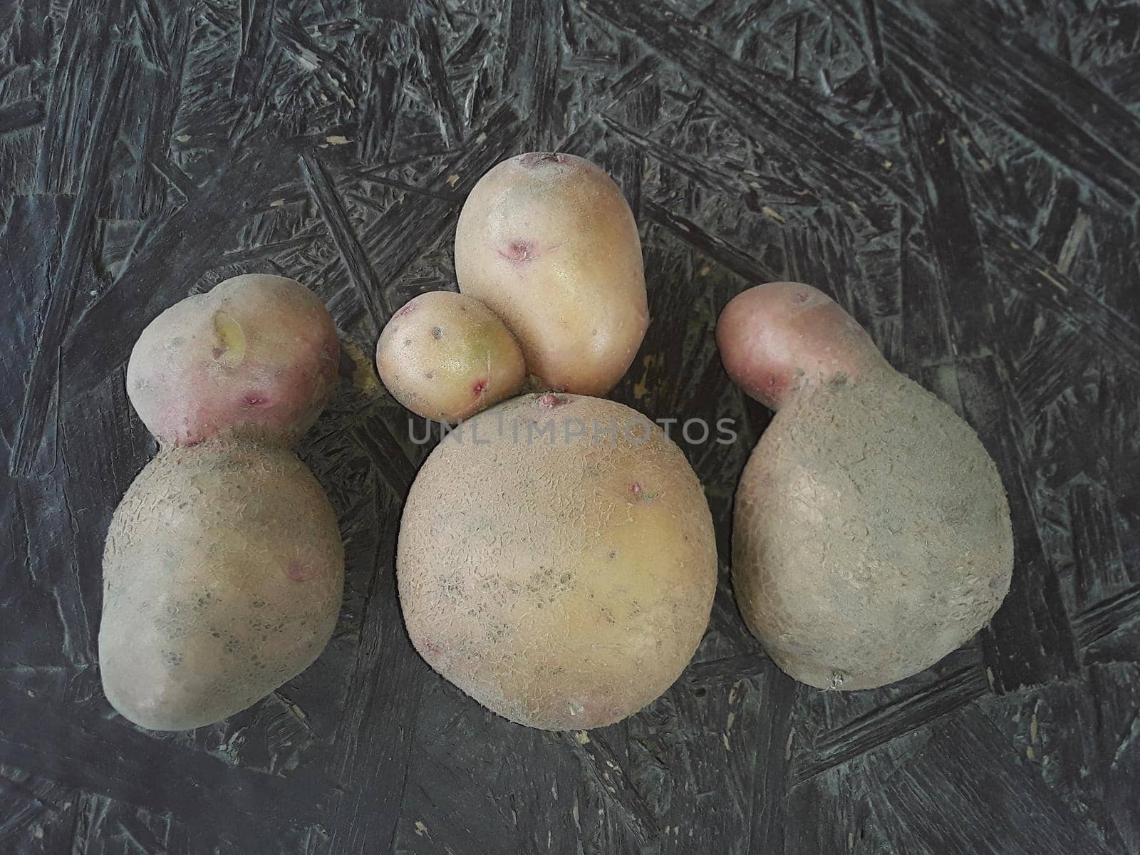 Different bizarre potatoes from a  the garden
