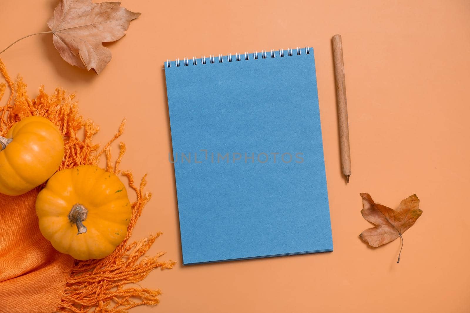 Blank notebook for text and pumpkins with autumn leaves. Autumn theme mock up.