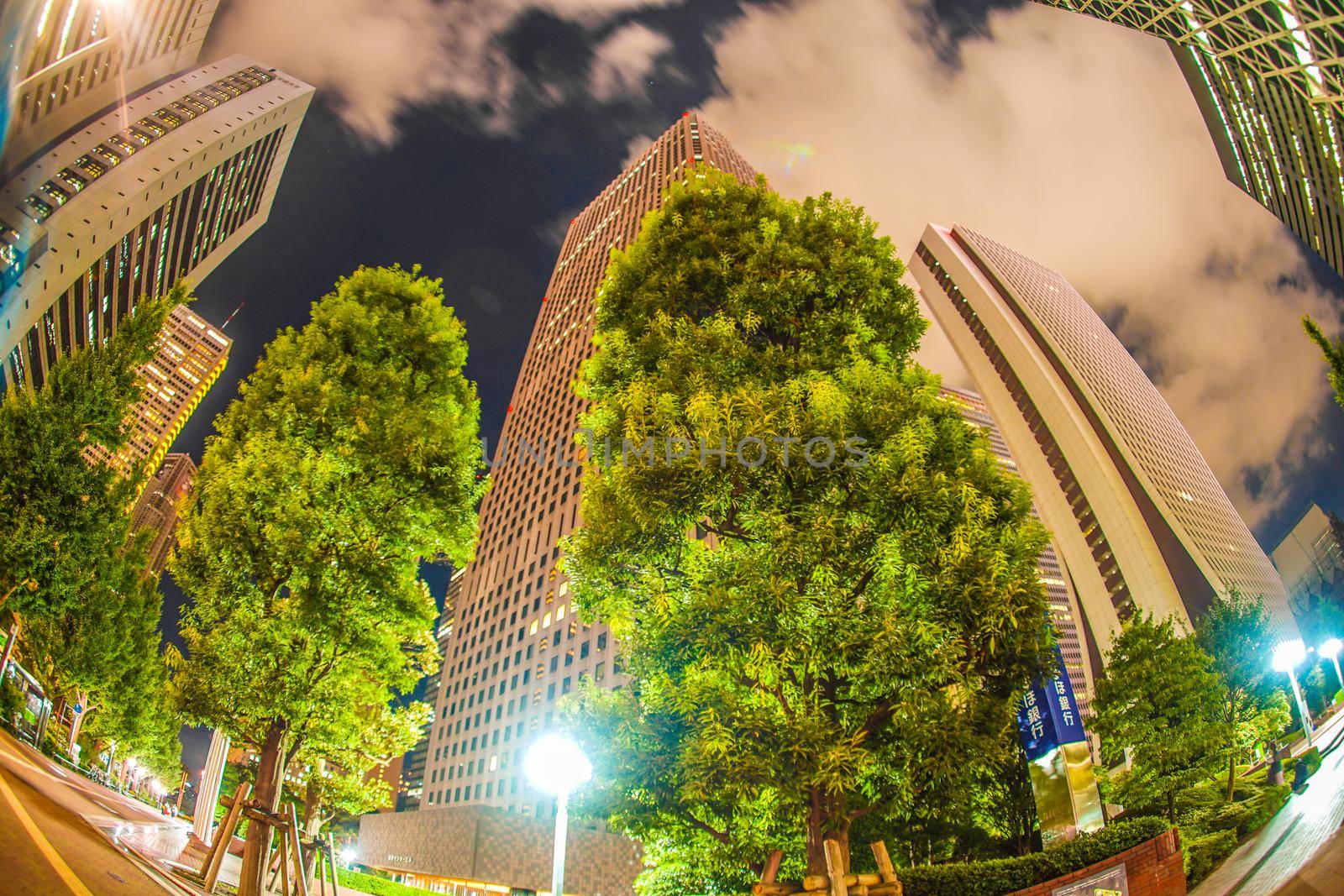 Night view of the high-rise building group of Tokyo Shinjuku. Shooting Location: Tokyo metropolitan area