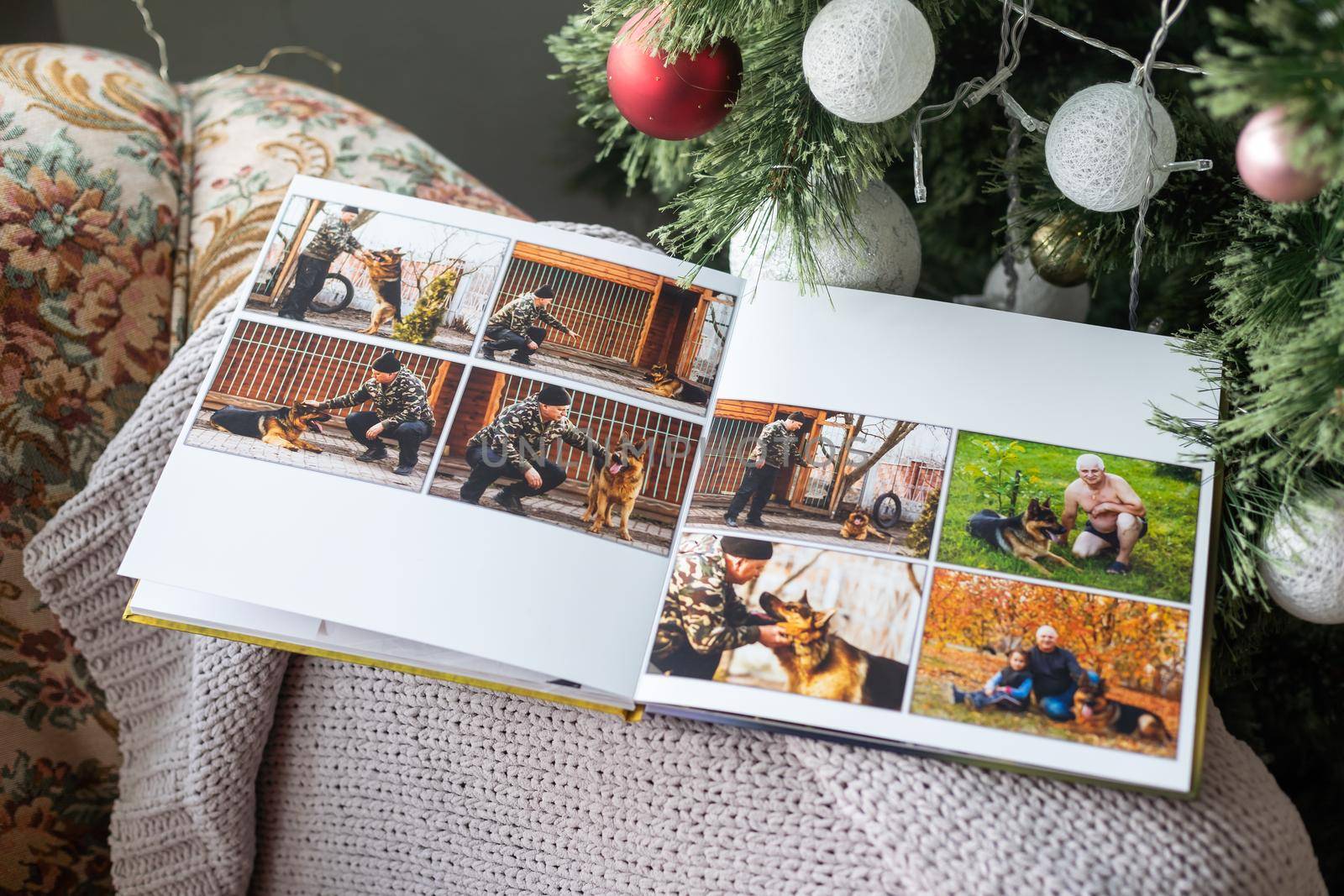 family photo book near the Christmas tree by Andelov13