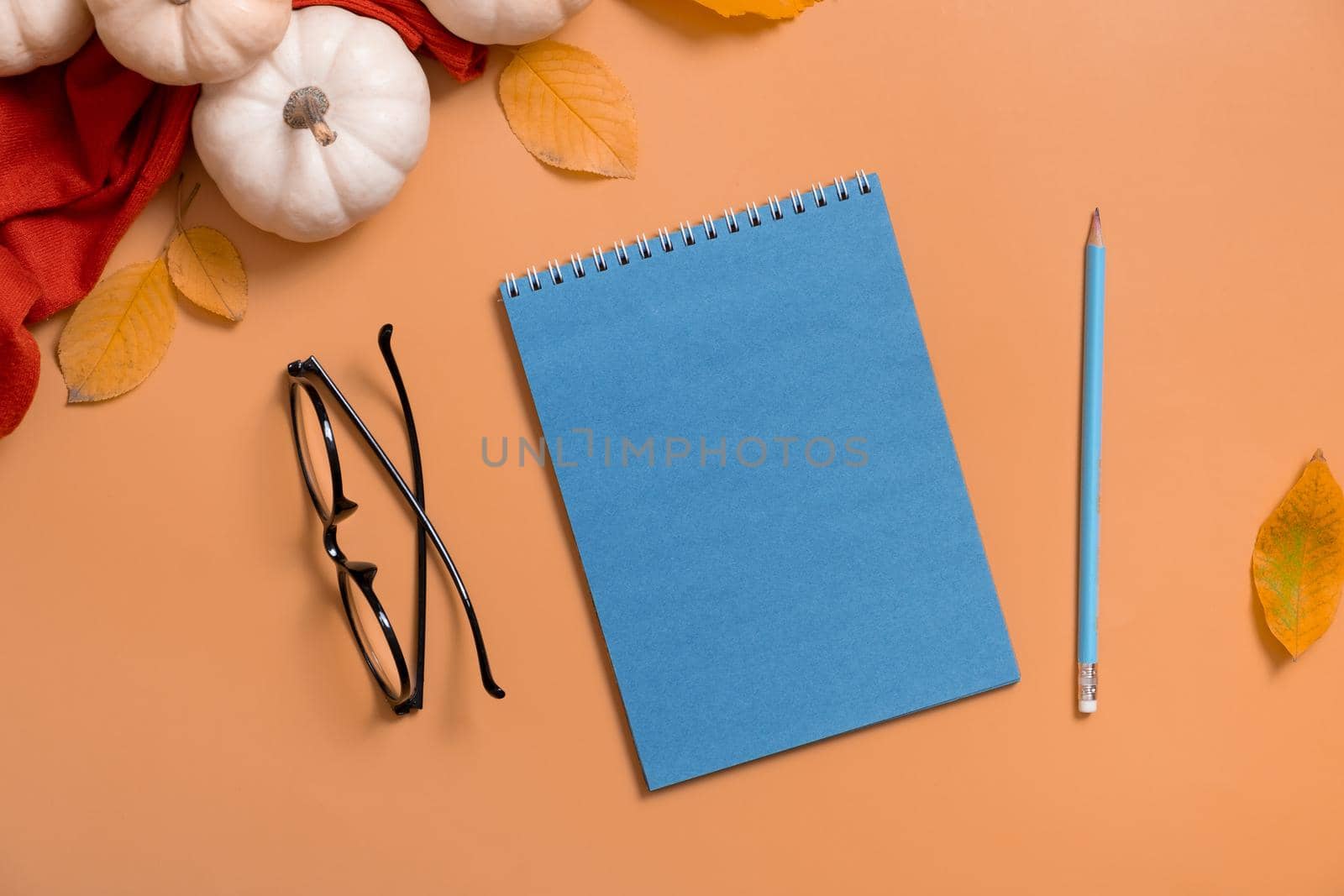 Blank blue notebook for text and pumpkins with autumn leaves. Autumn hugge theme mock up.