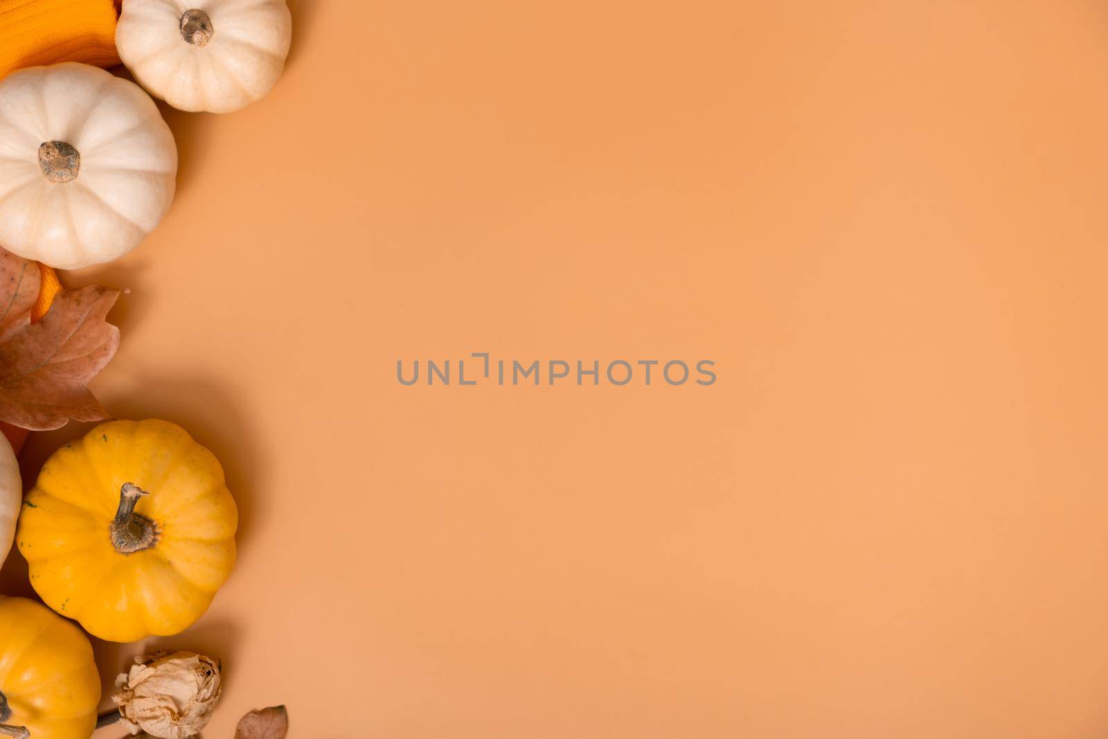 Autumn flat lay composition with pumpkins and fallen leaves and sweater with space for text by ssvimaliss