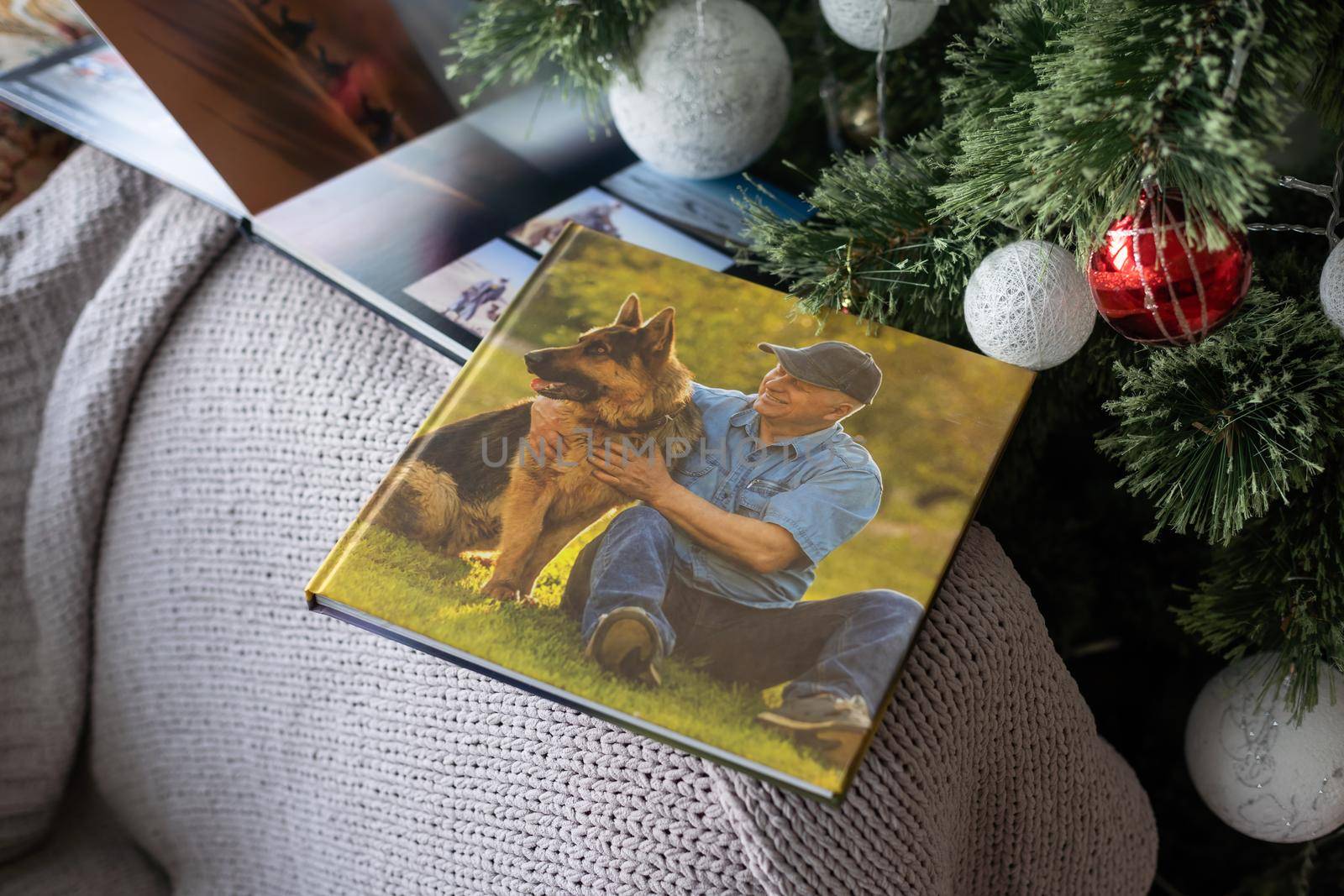 photo book about traveling near the Christmas tree by Andelov13