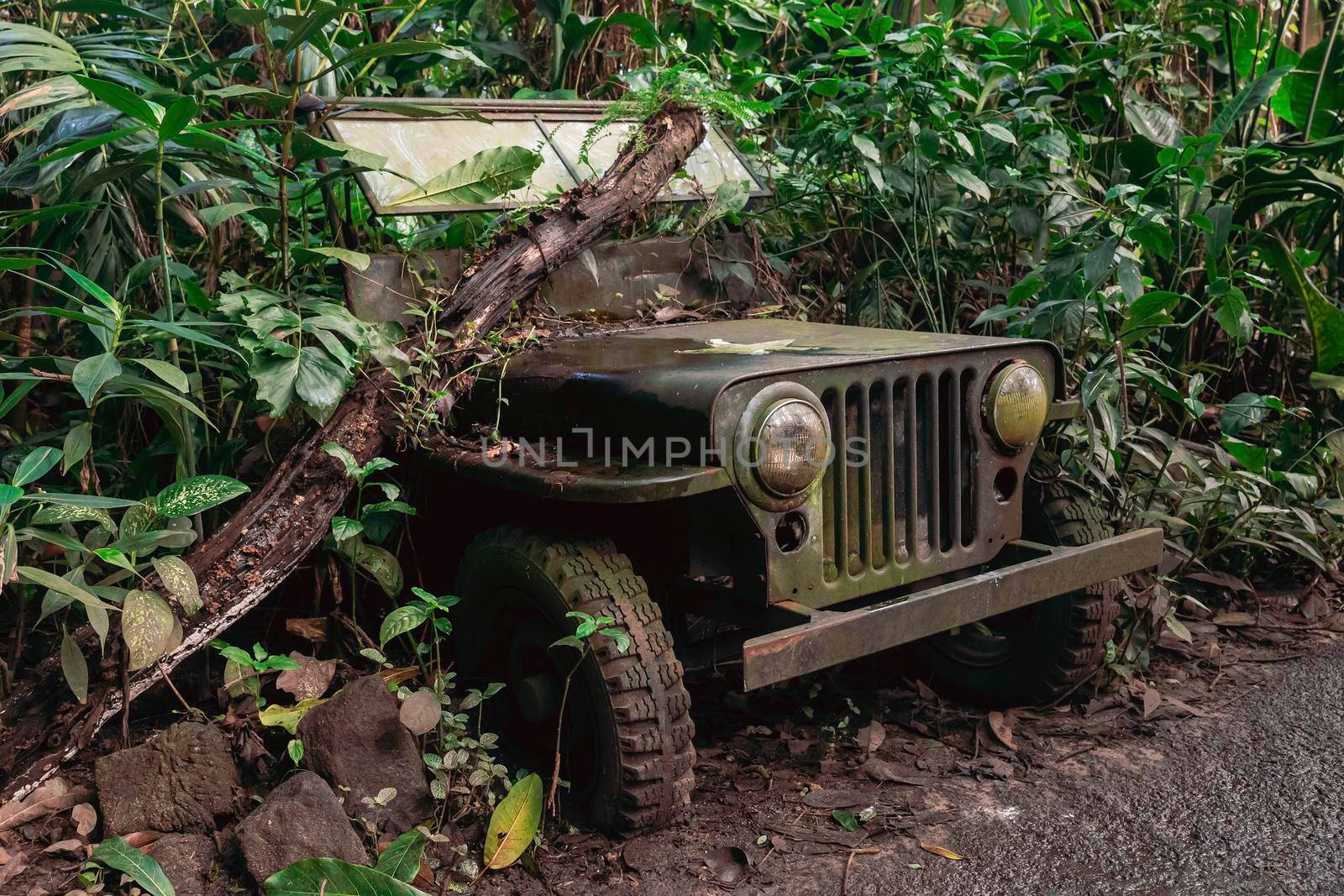 Old military SUV at the tropical zoo.
