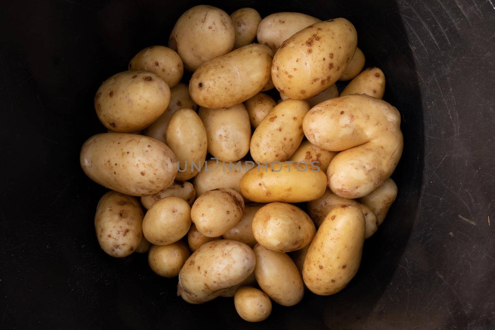 Top view of fresh potatoes in black bucket