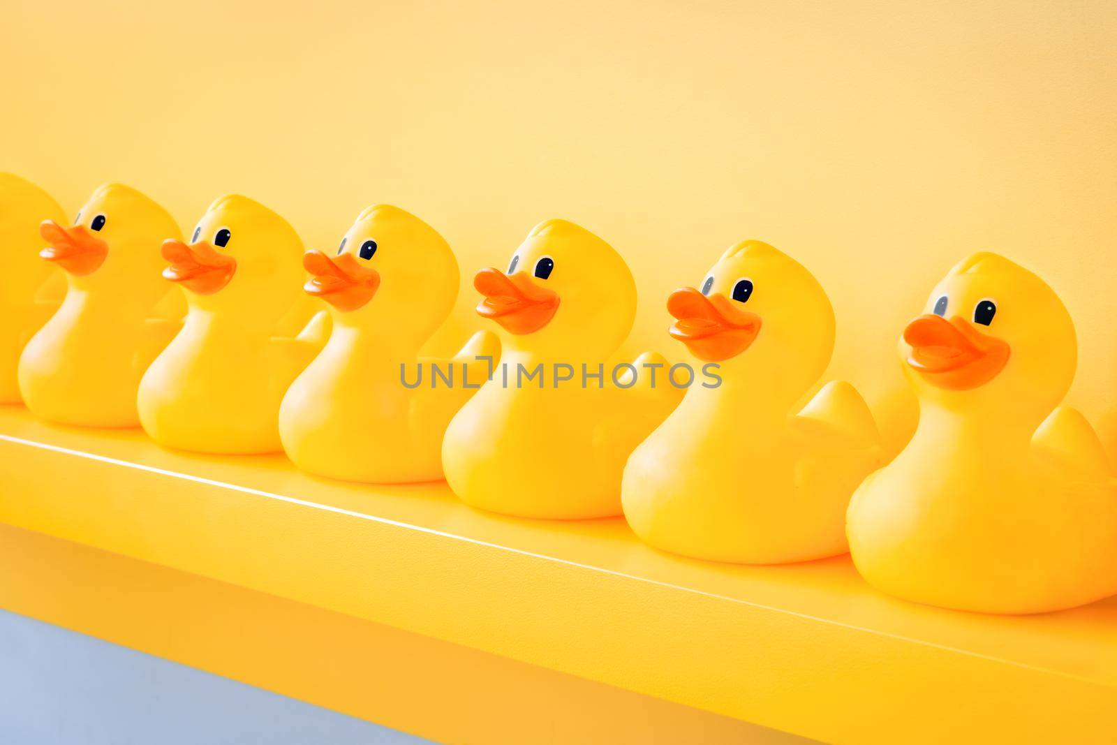 Yellow rubber ducks in a line toy design yellow concept team. Rubber duck background team meeting. Rubber ducky bath toy background yellow ducks in a row. Community. Teamwork. Organize. Cooperation by synel