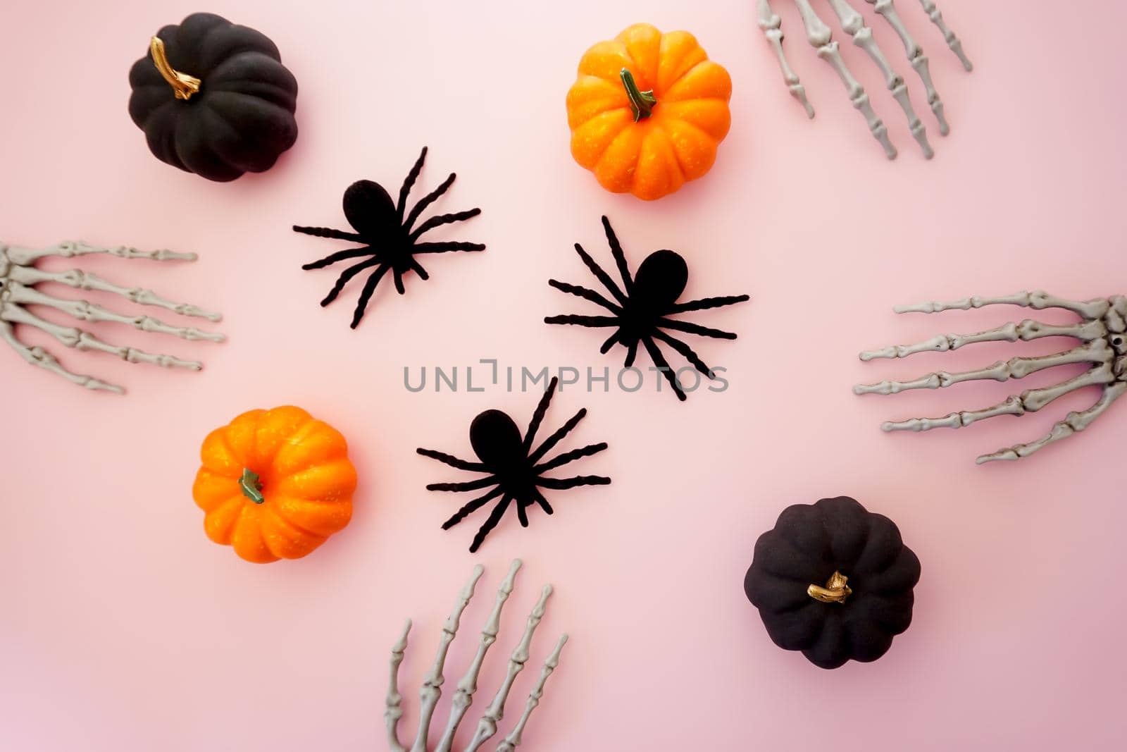 Halloween greeting card on pink background. On a pink background there are skeletal bones, colorful pumpkins and black furry spiders.