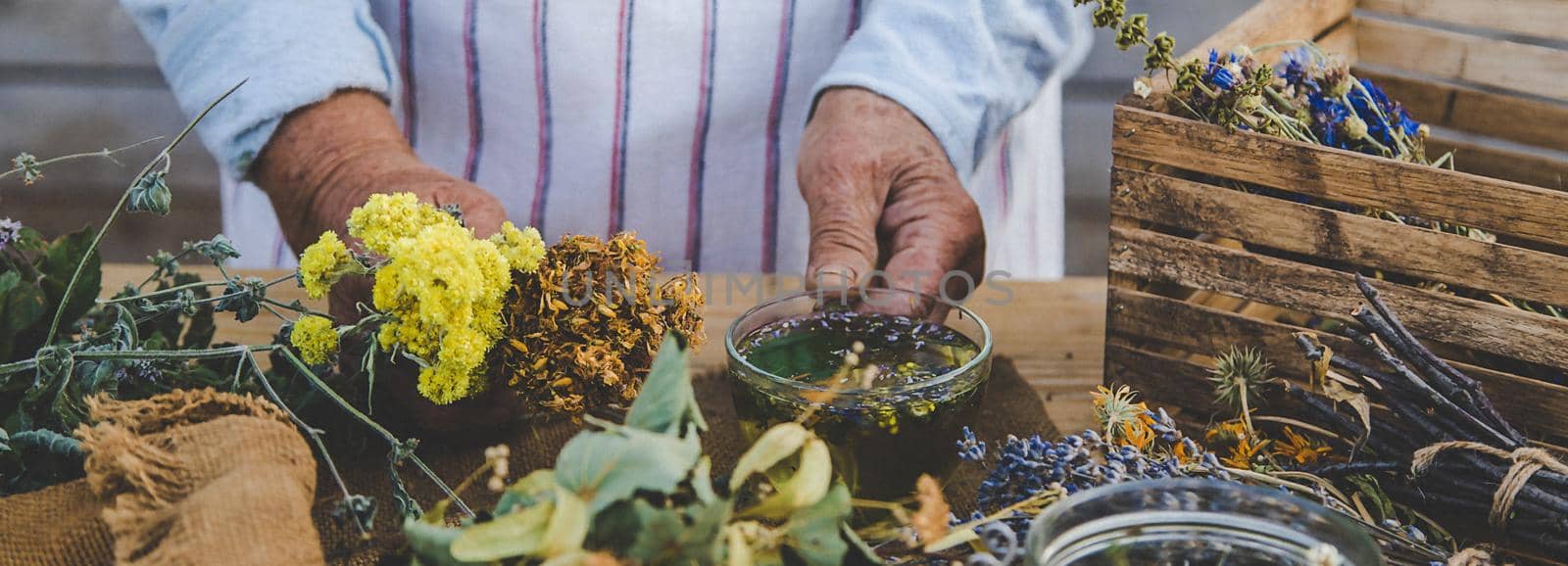Grandmother makes tea with medicinal herbs. Selective focus. Nature.