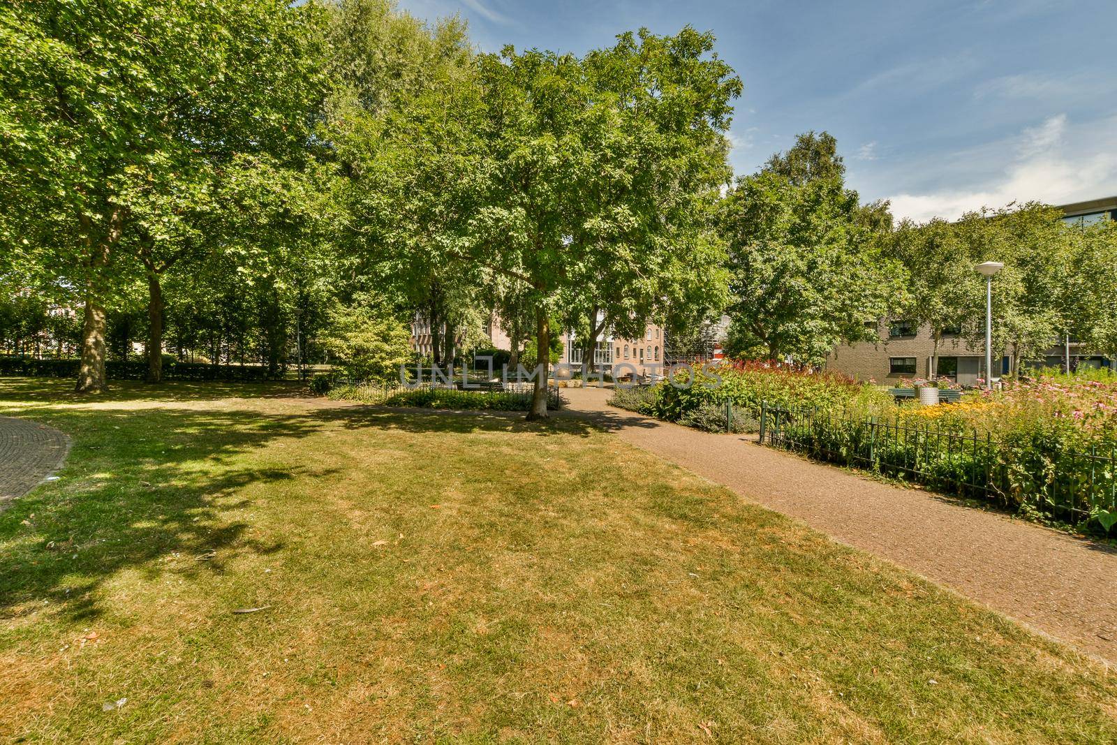 View of street near building with beauty of vegetation outside