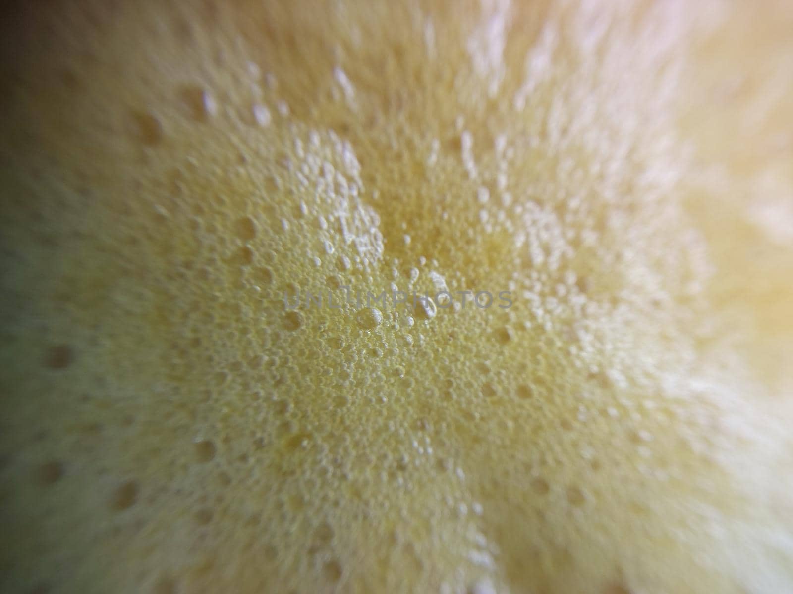 Fruit and vegetable texture macro the photography