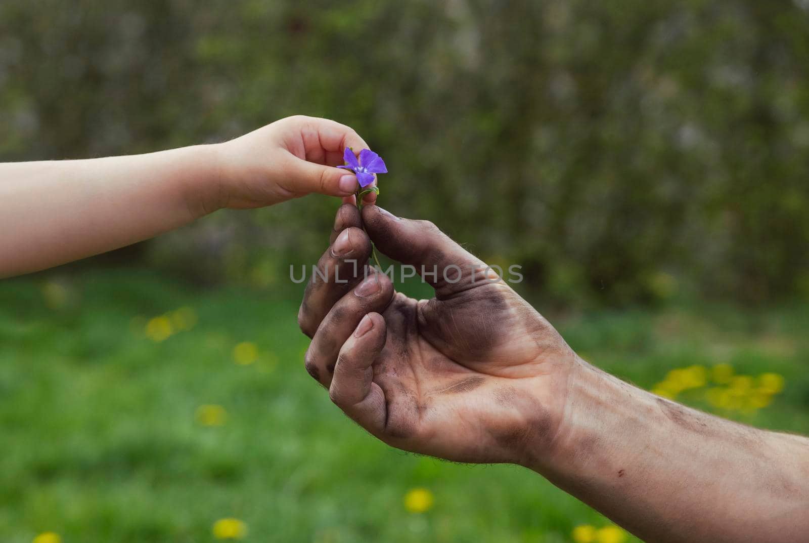 Father, dirty after work, gives his daughter a flower.