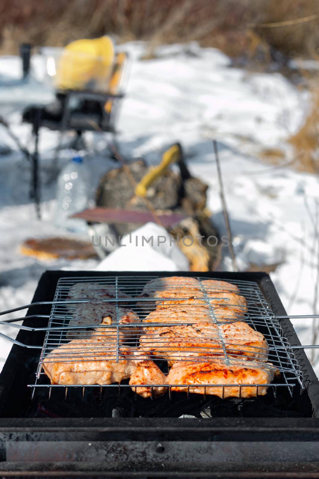 Winter barbecue party outdoors, grill steak meat over hot coals in BBQ at campsite cookout, close up view, camping lifestyle, vertical image