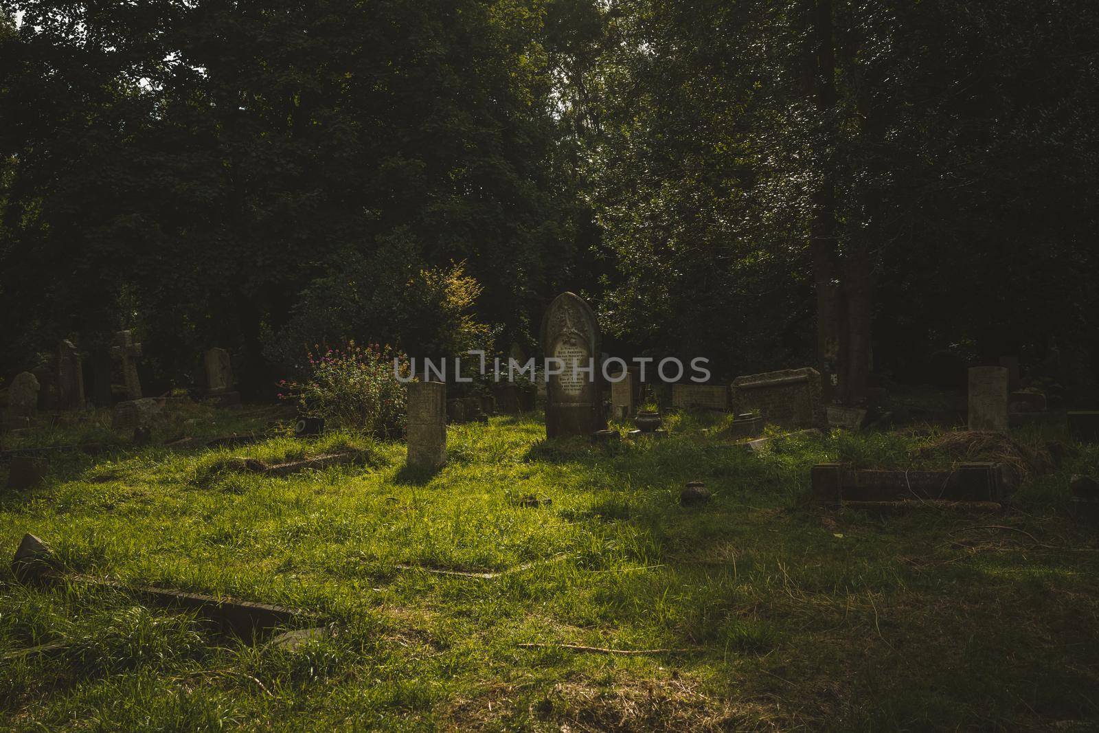 Gravestones in cemetery, Arnos Vale Cemetery. High quality photo