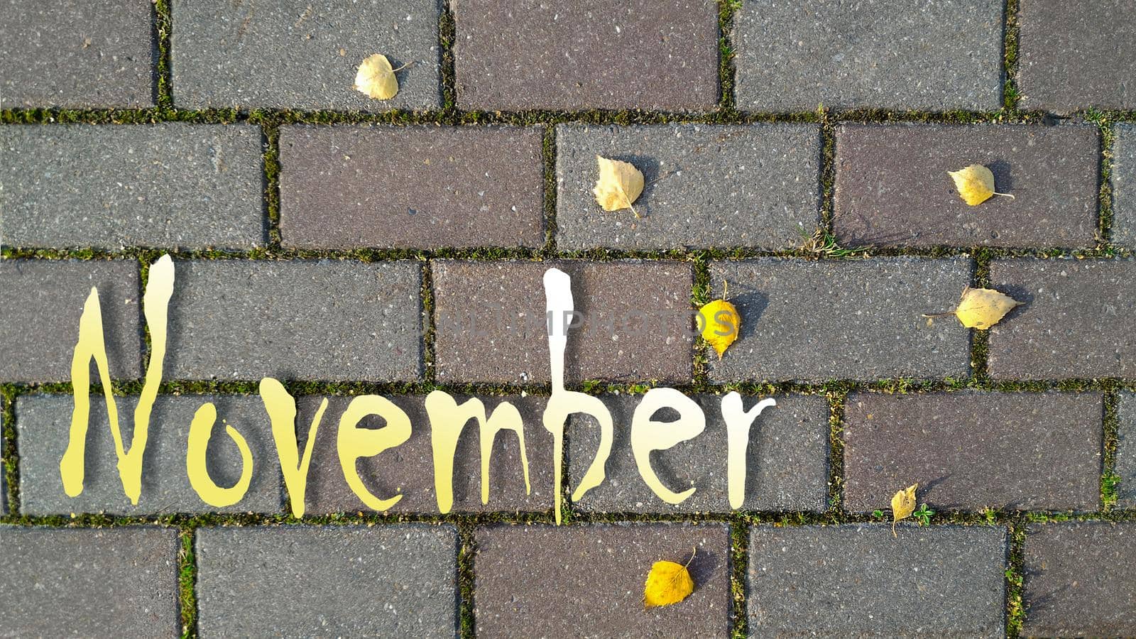 Inscription November on background of brick road with sprouted grass between it and yellow autumn leaves. Top view, flat lay by Laguna781