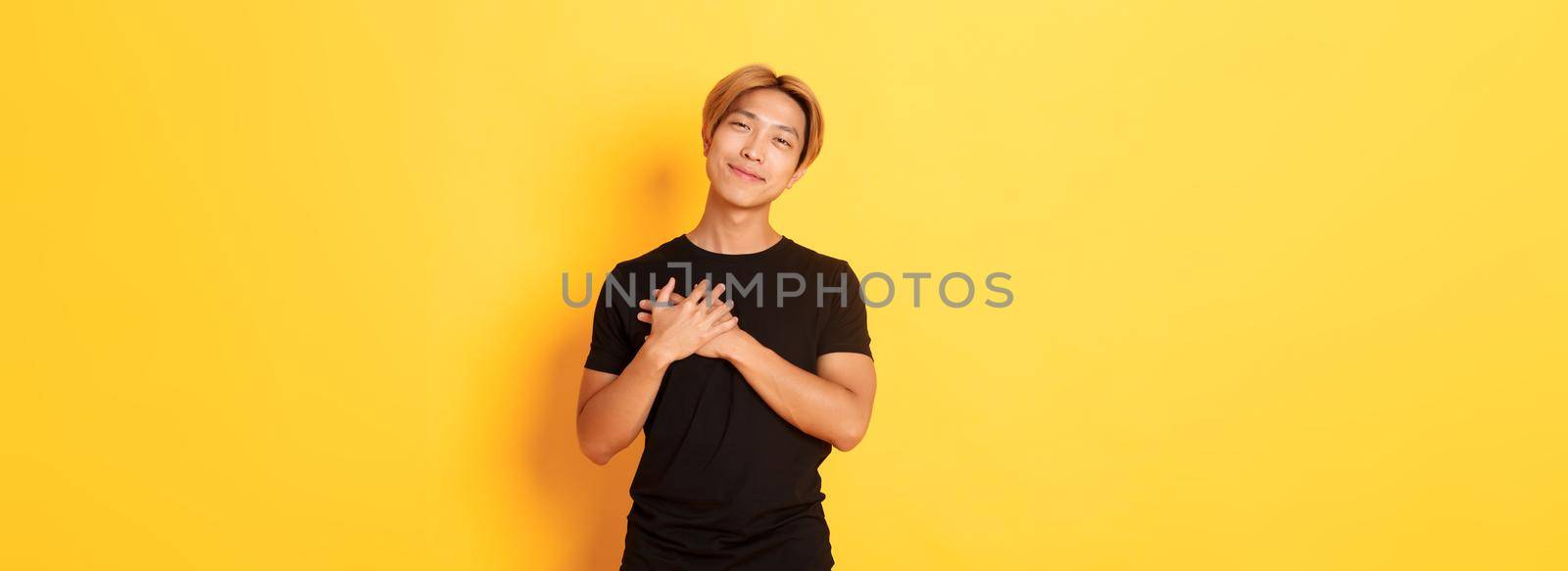Portrait of touched handsome asian guy holding hands on heart and smiling flattered, yellow background by Benzoix