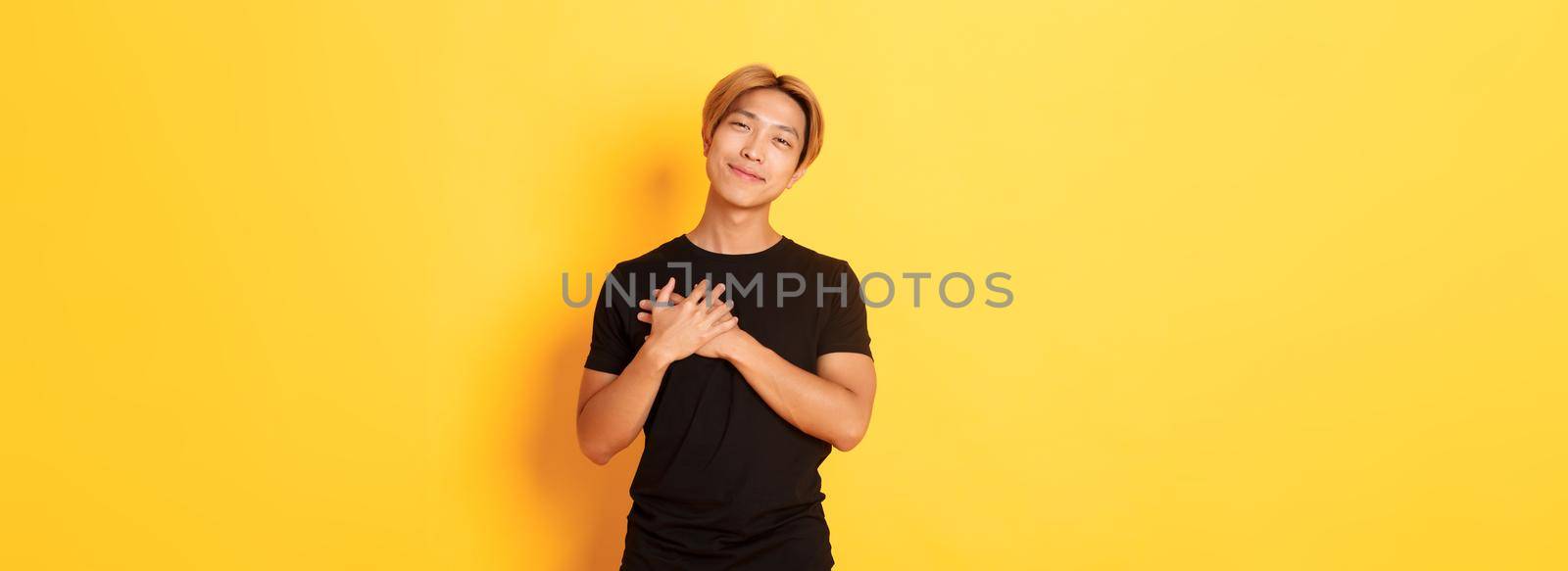 Portrait of touched handsome asian guy holding hands on heart and smiling flattered, yellow background.