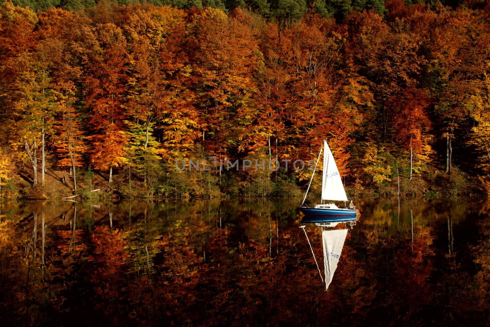 a sailboat and an autumn forest of red yellow and green autumn colors are reflected in the lake surface. High quality photo