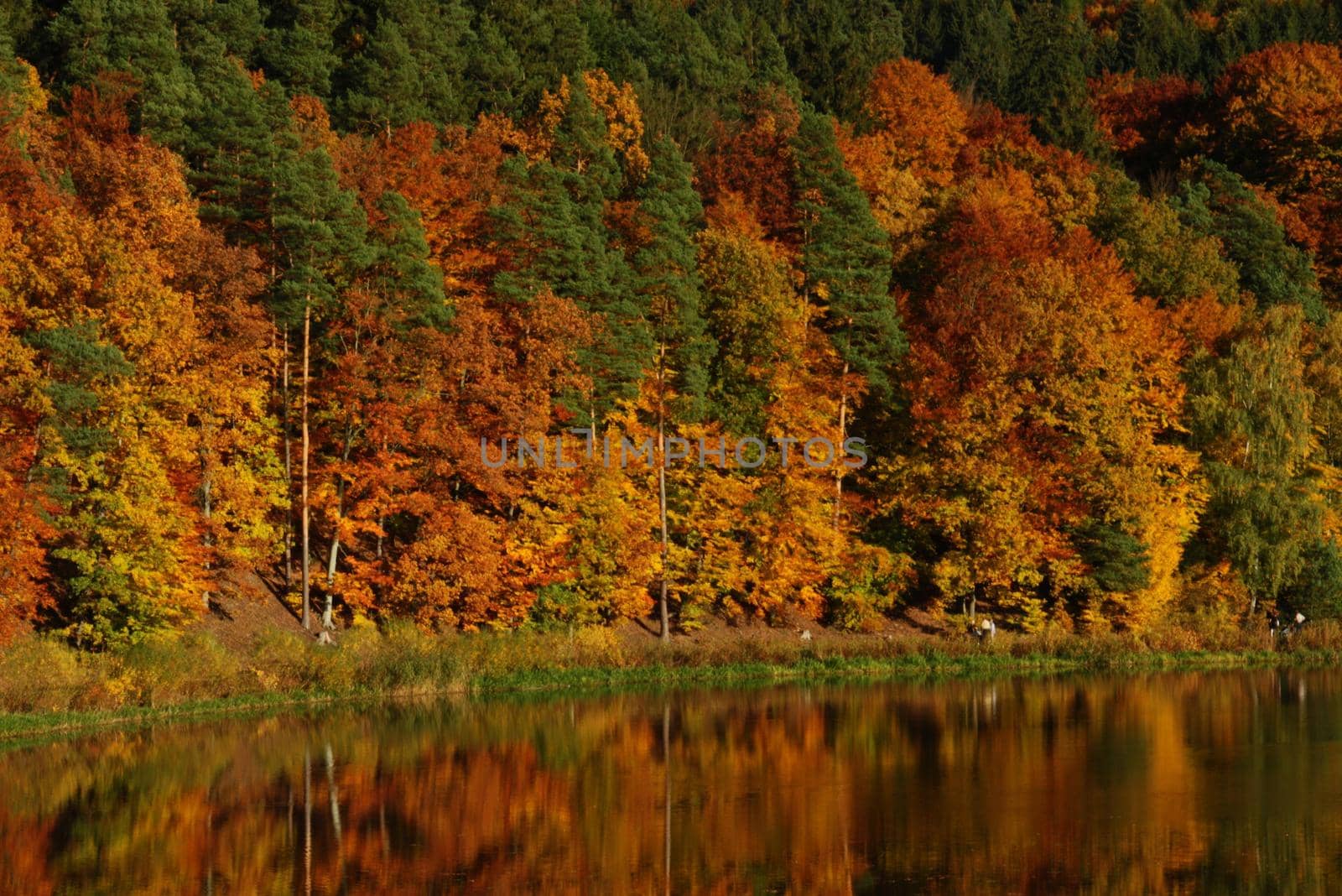 the blue sky and an autumn forest of red yellow and green autumn colors are reflected in the lake surface. High quality photo