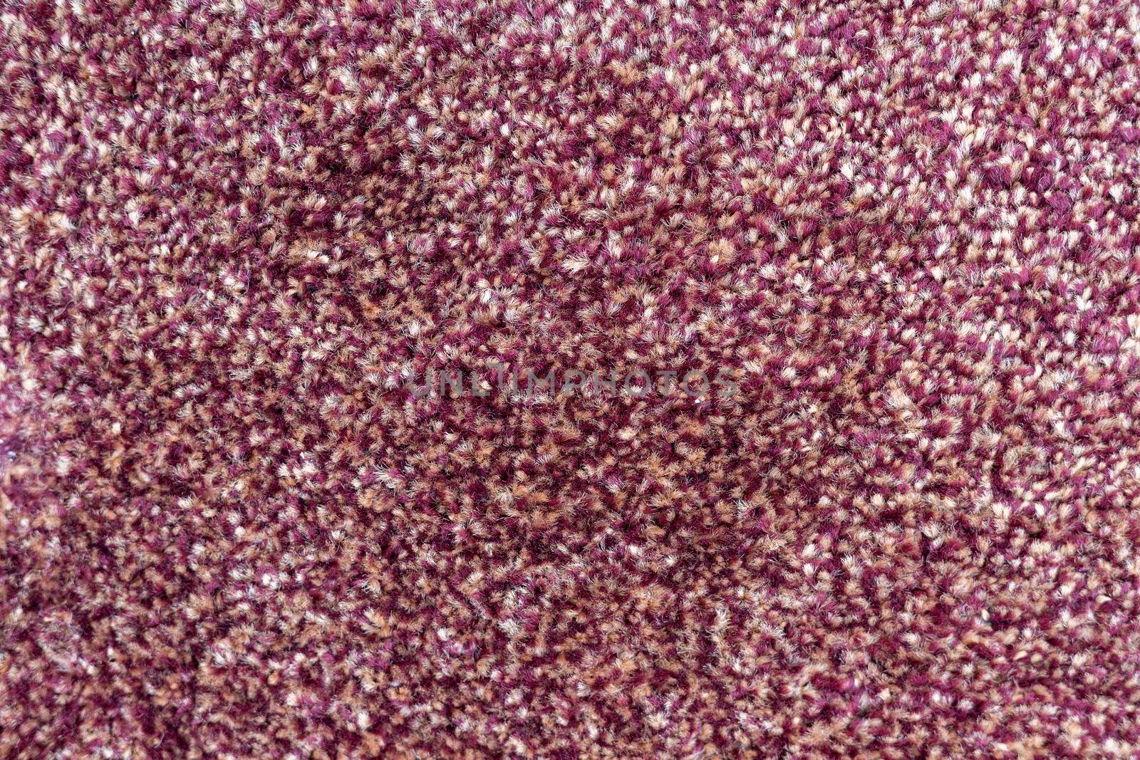 Purple carpet texture background closeup view by Bilalphotos